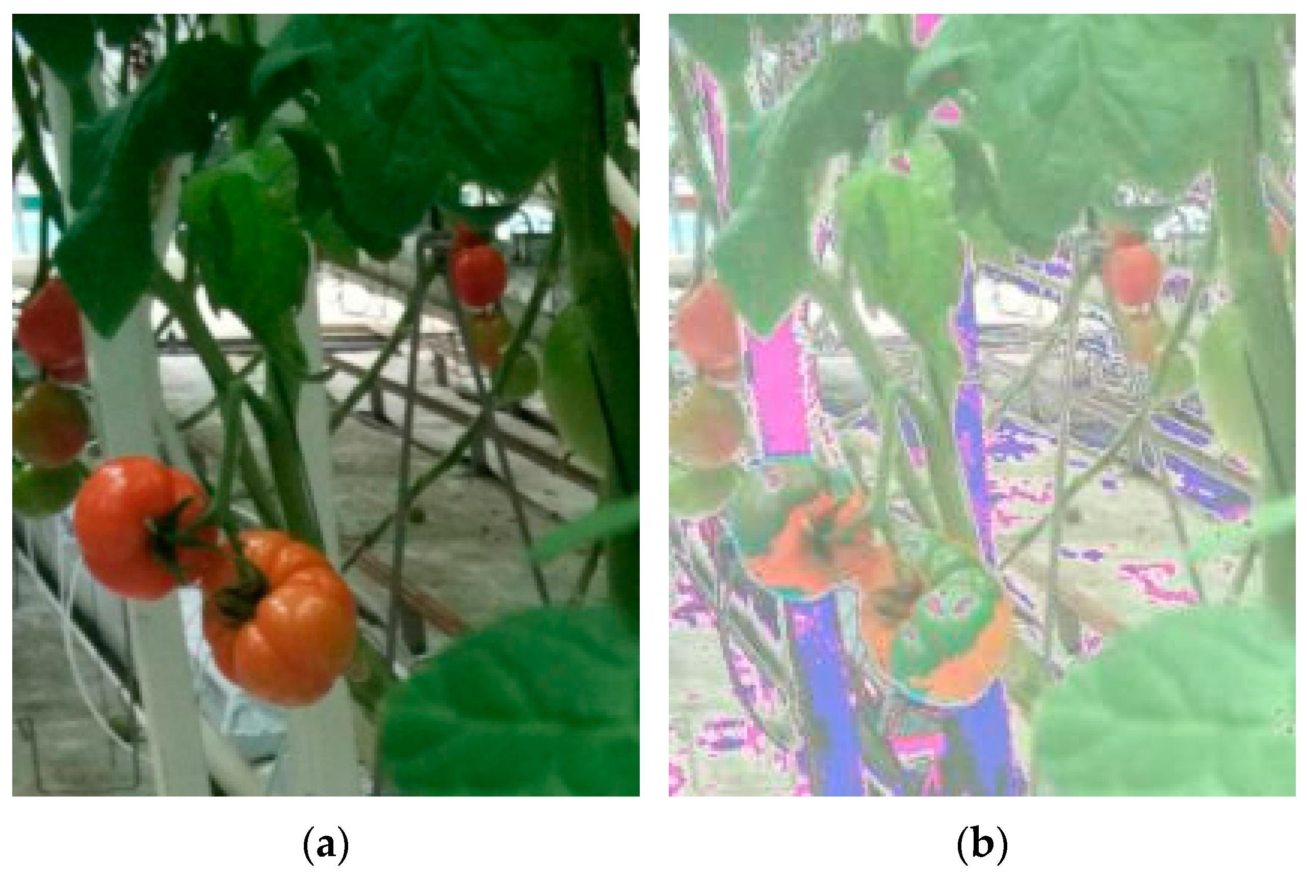 Agronomy 15 00667 g002