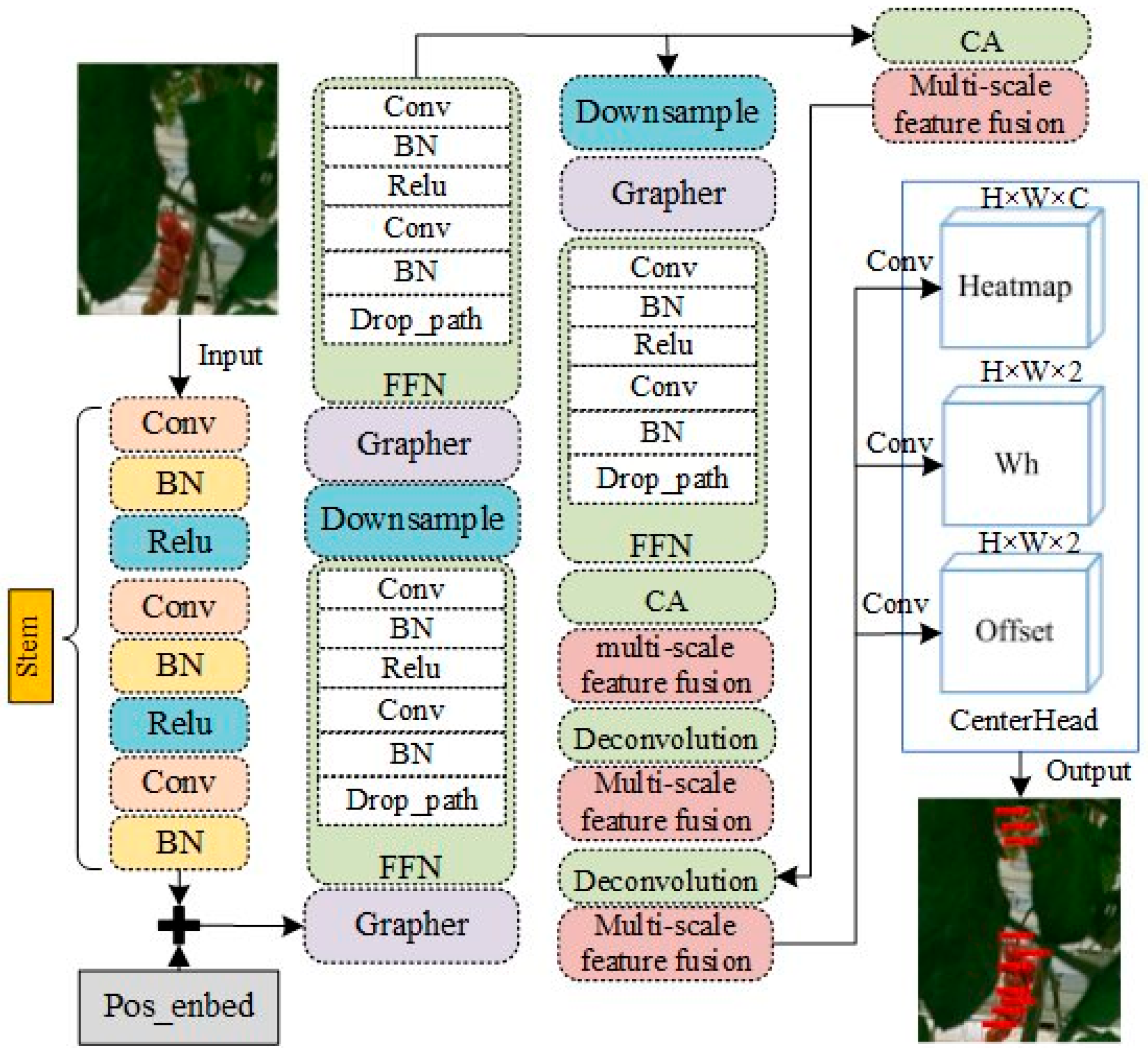 Agronomy 15 00667 g003