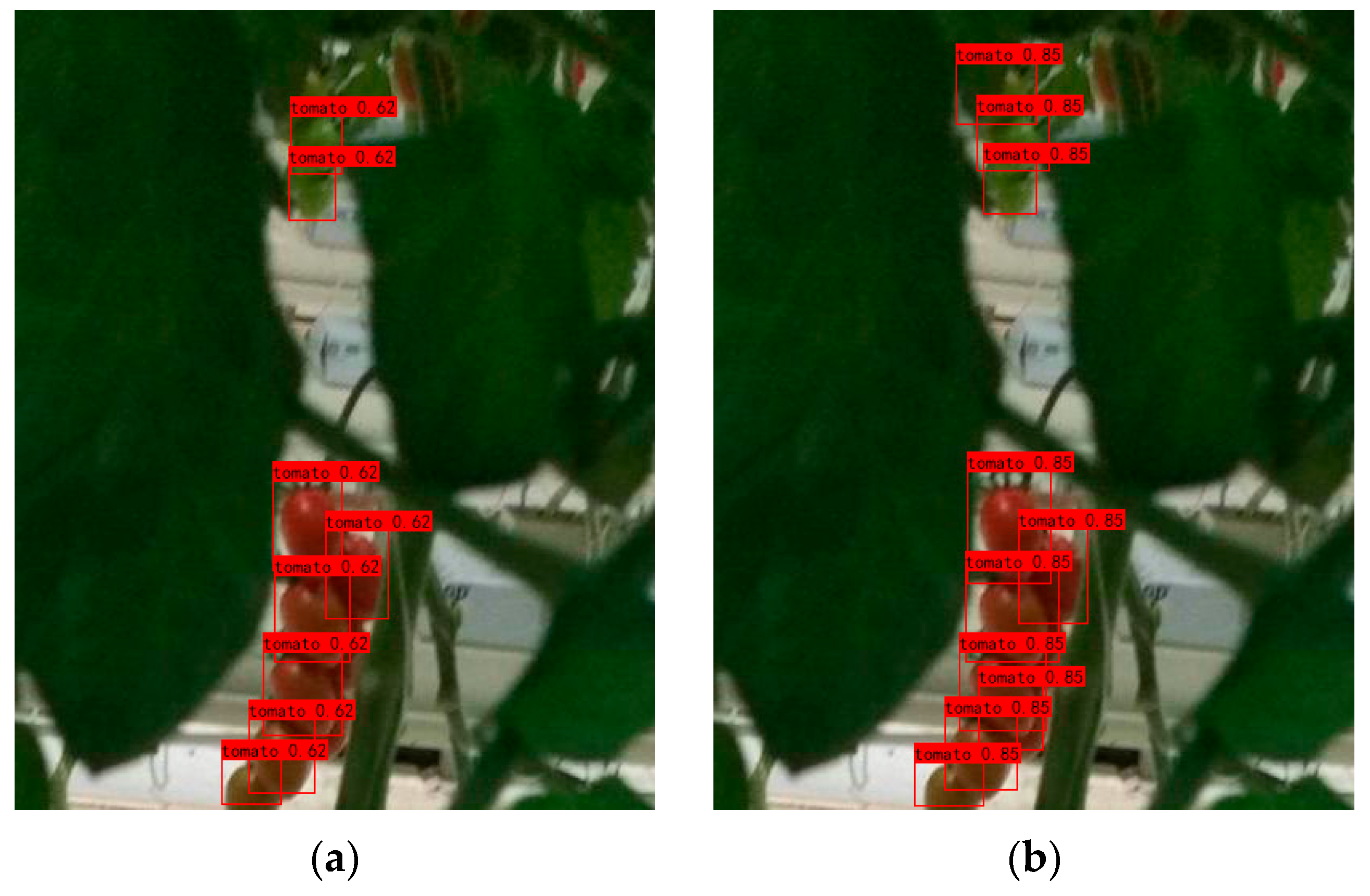 Agronomy 15 00667 g005