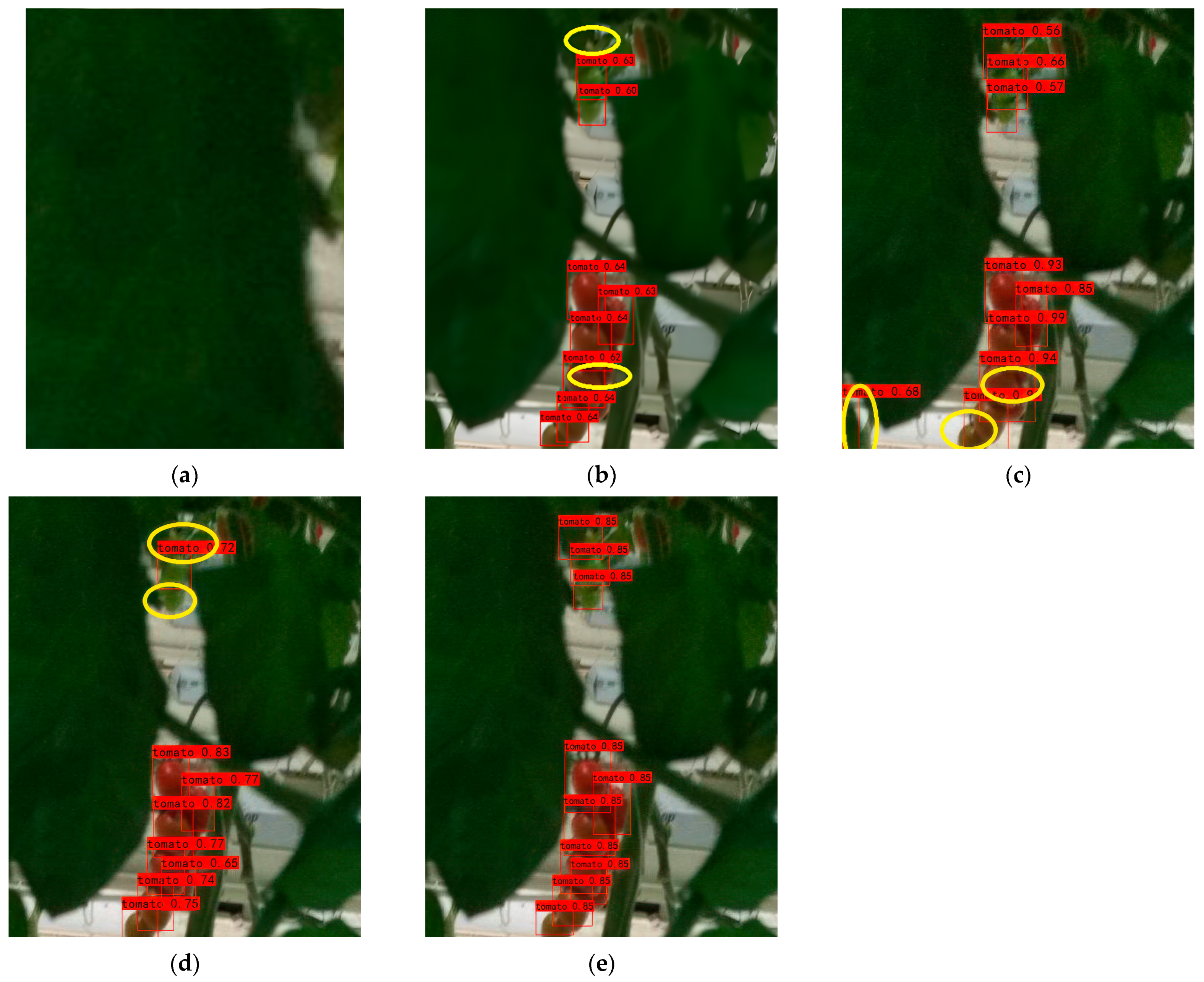 Agronomy 15 00667 g007