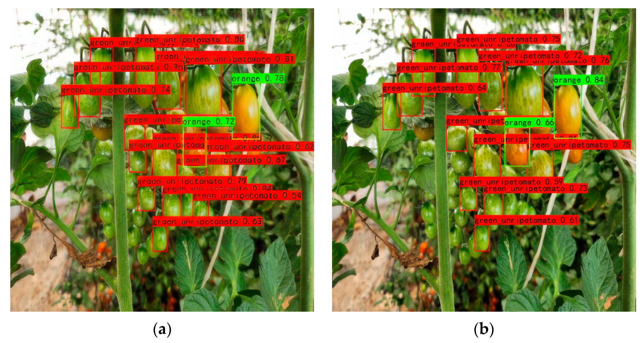 Agronomy 15 00667 g008