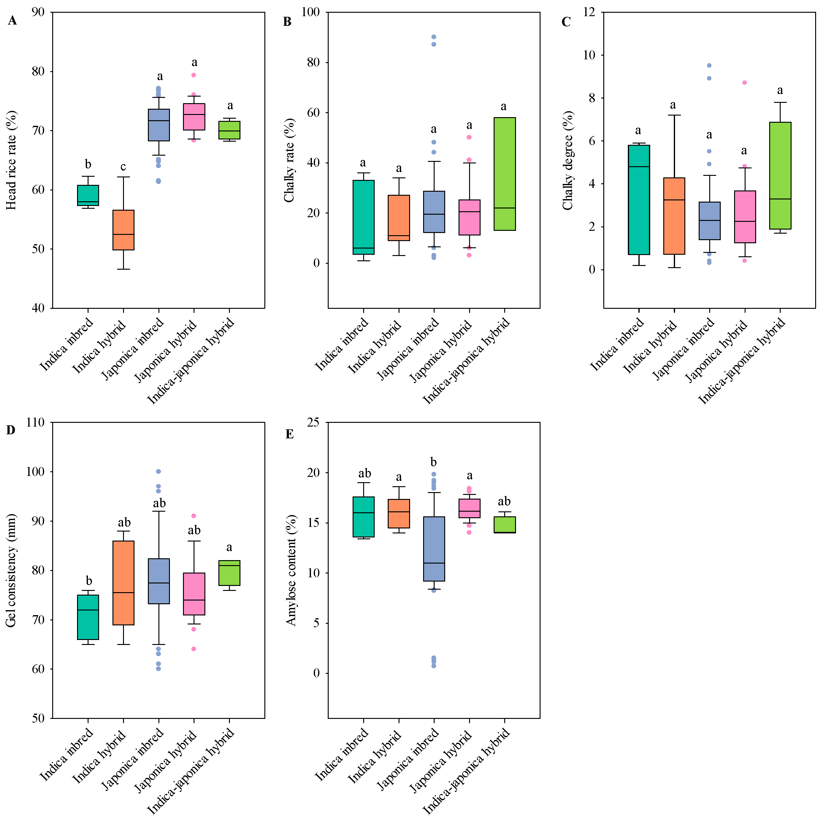 Agronomy 15 00670 g006