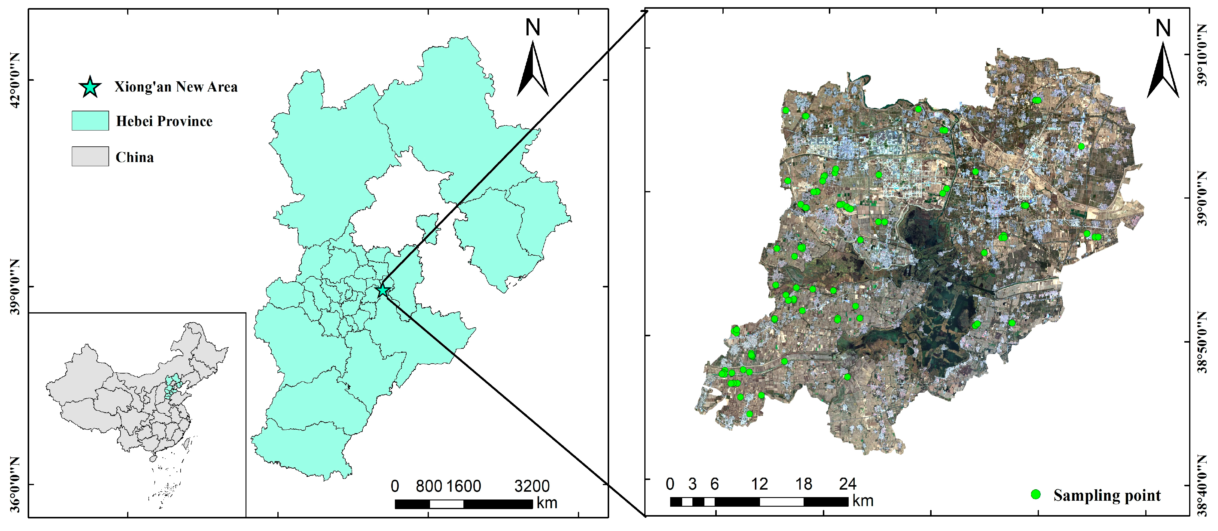 Agronomy 15 00676 g001