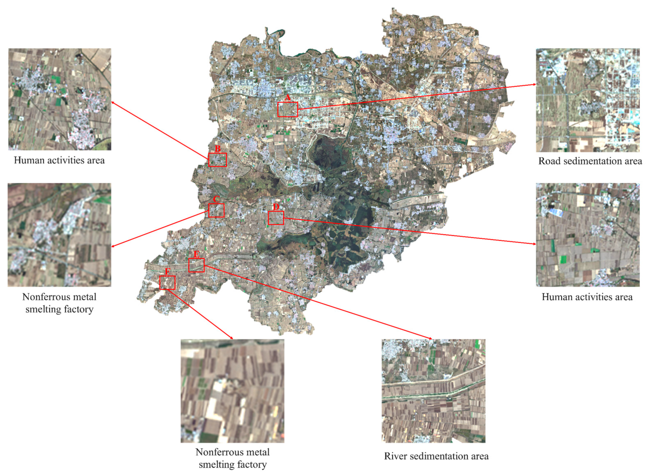 Agronomy 15 00676 g010