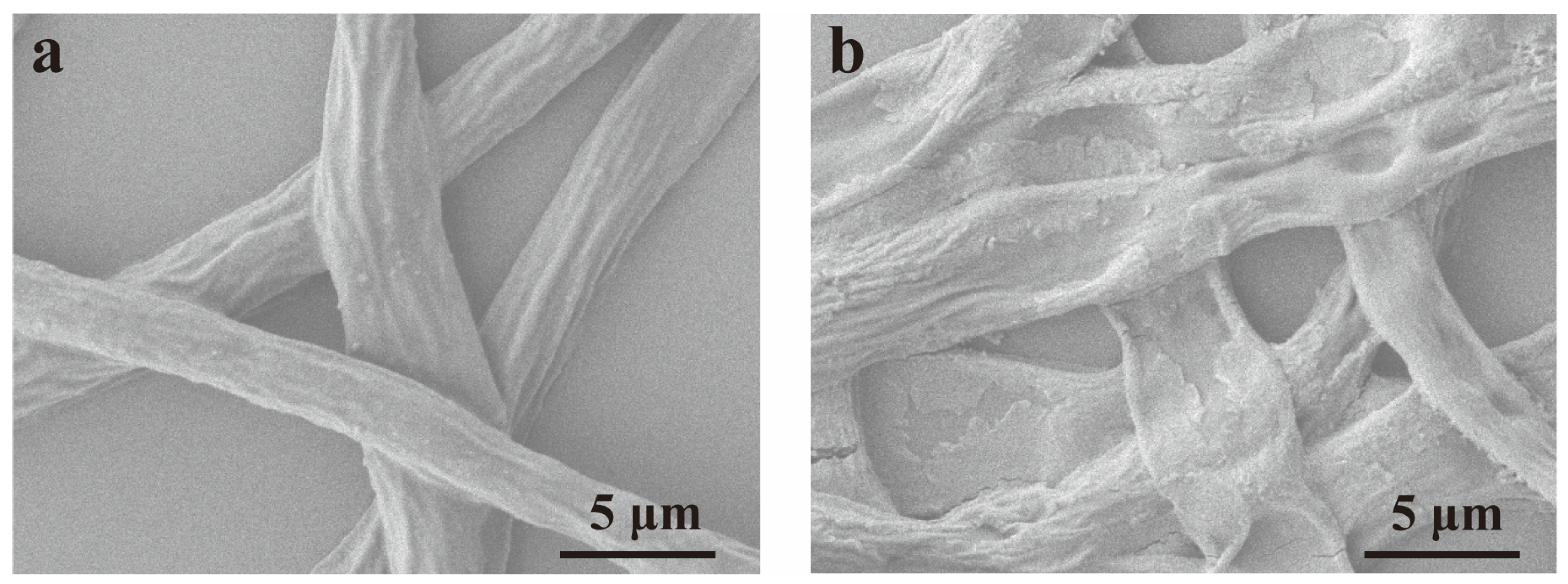 Agronomy 15 00683 g005