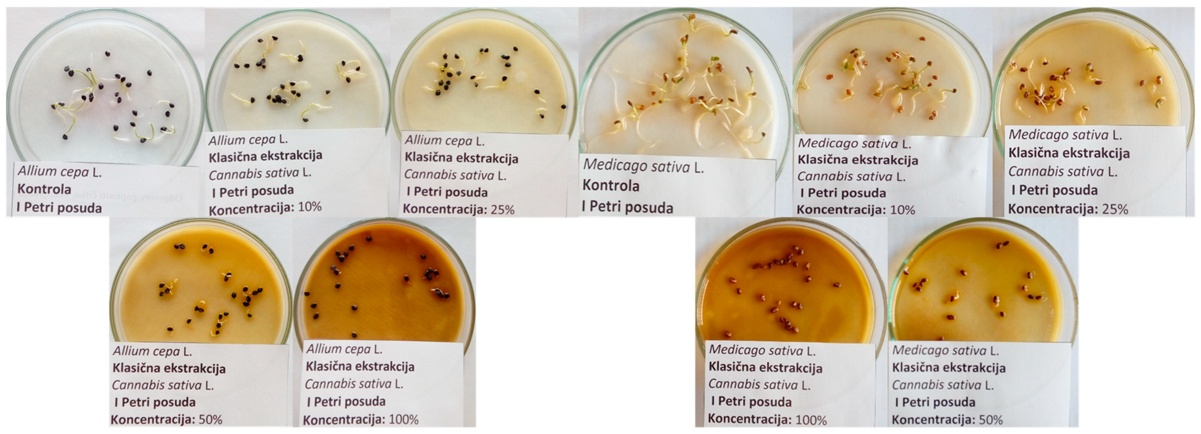 Agronomy 15 00684 g001