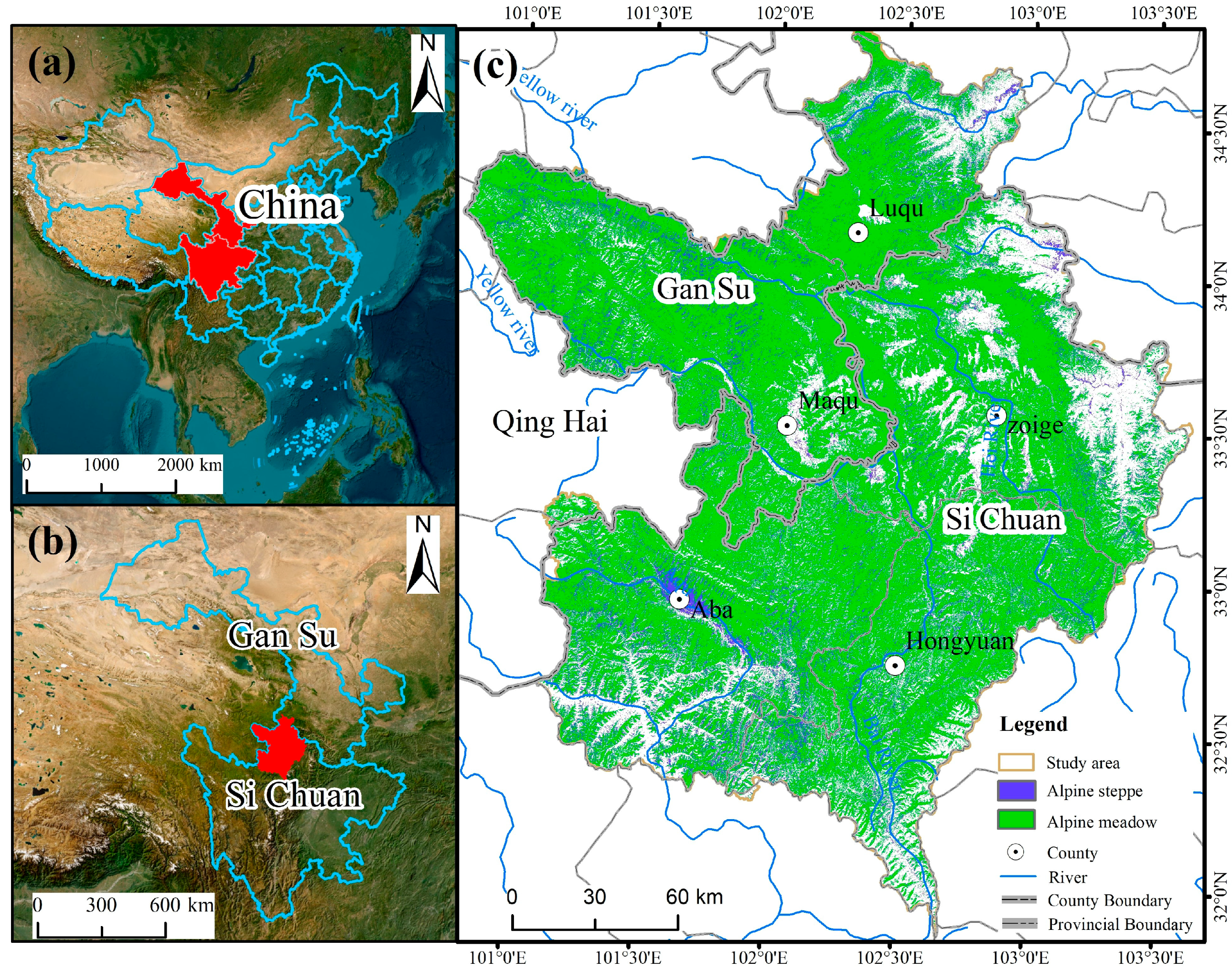 Agronomy 15 00685 g001