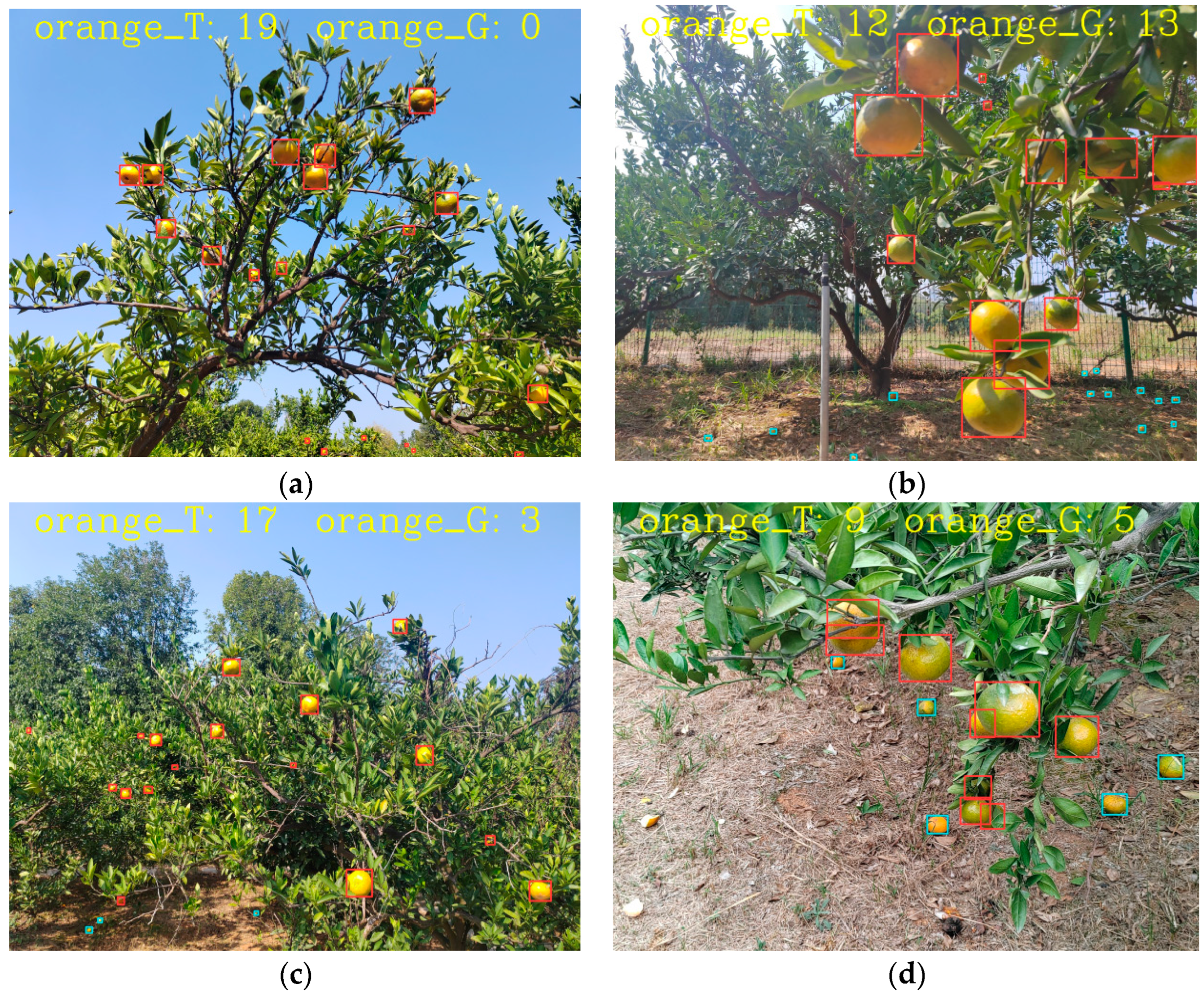 Agronomy 15 00687 g010