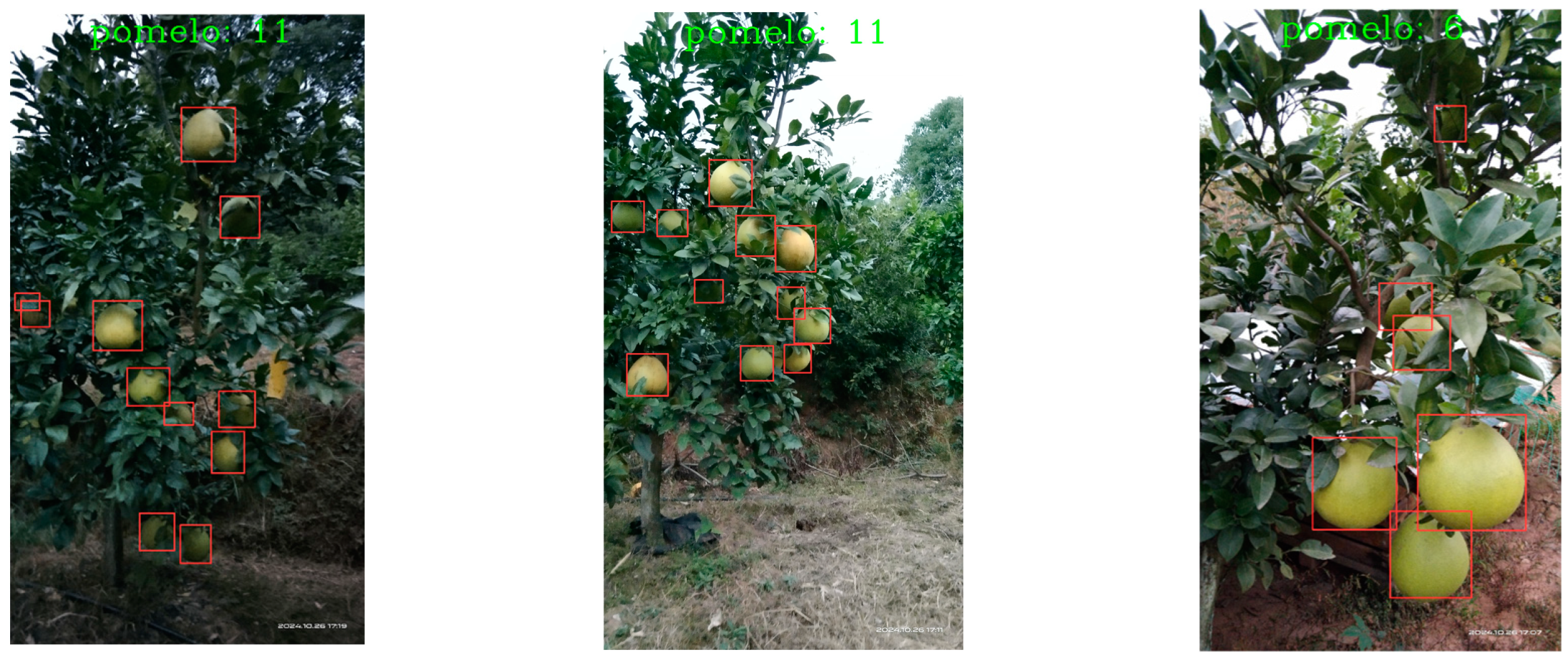 Agronomy 15 00687 g012b