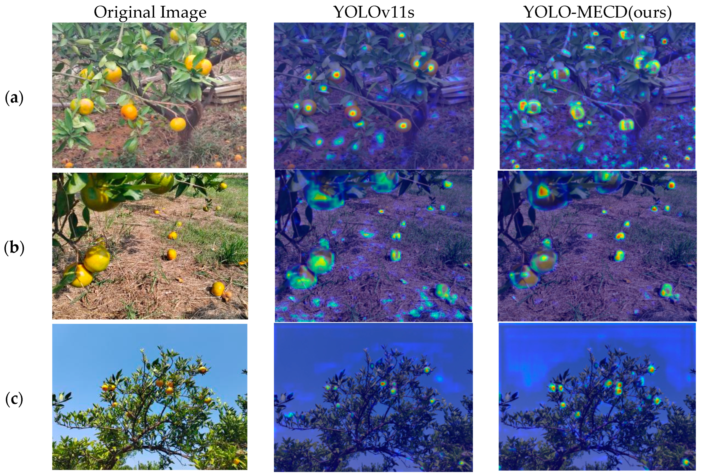 Agronomy 15 00687 g013a