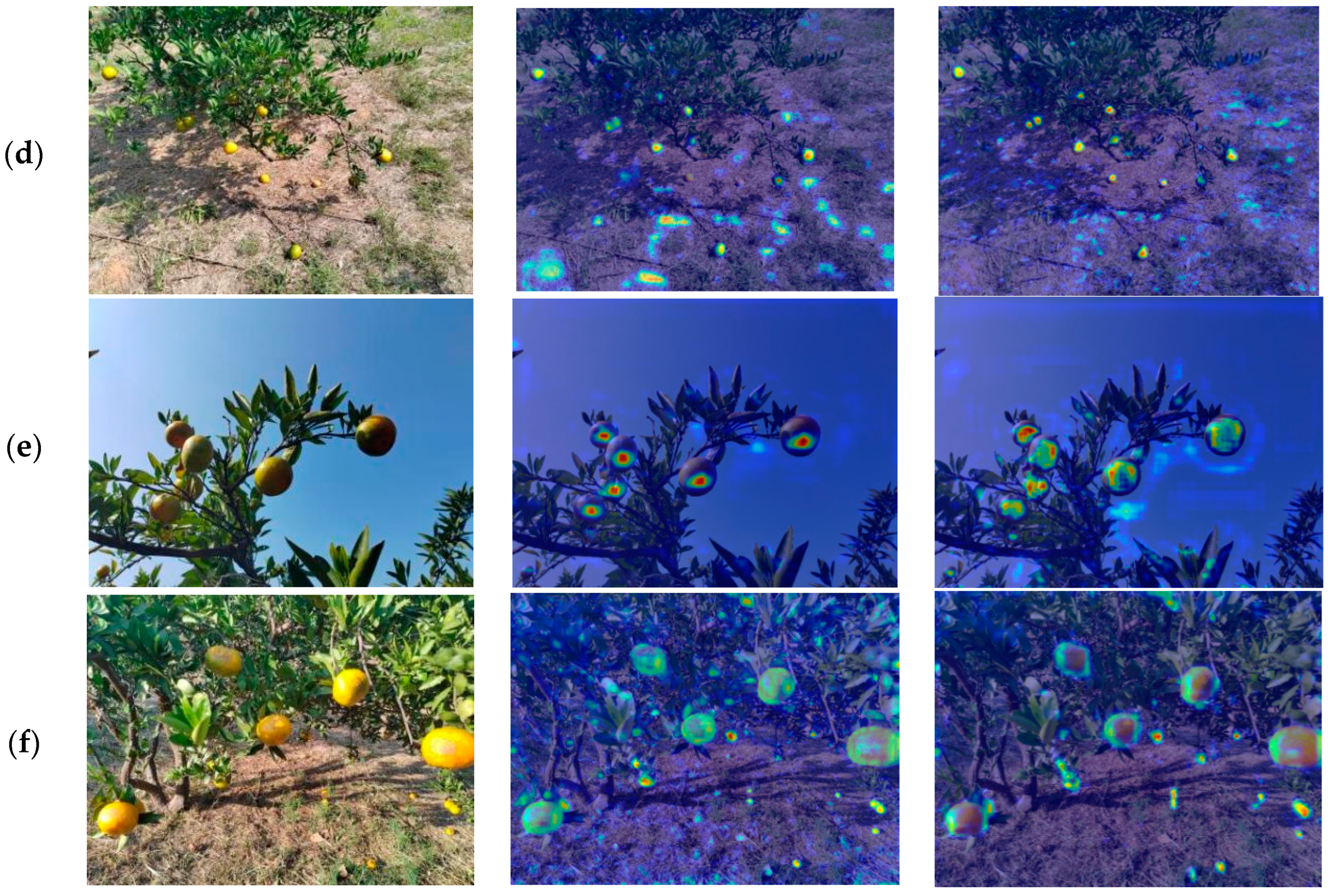 Agronomy 15 00687 g013b