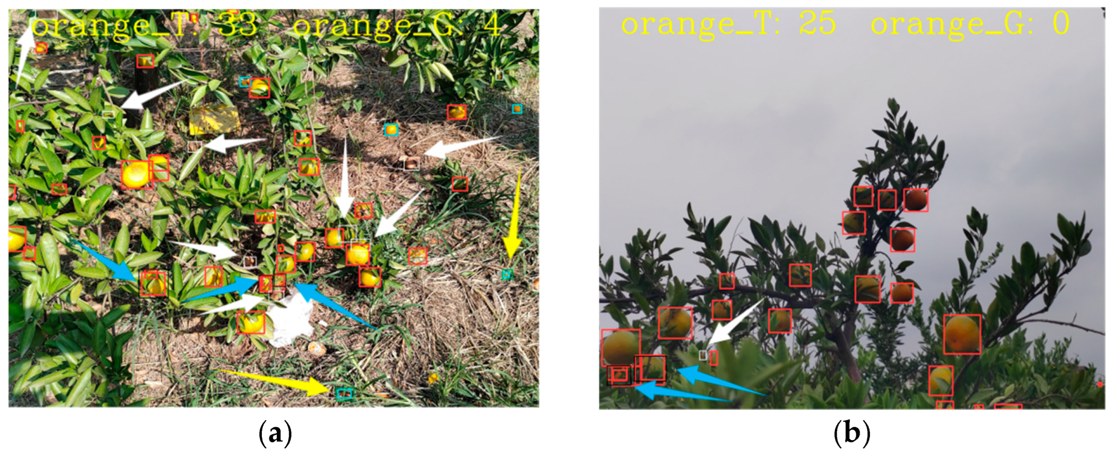 Agronomy 15 00687 g014