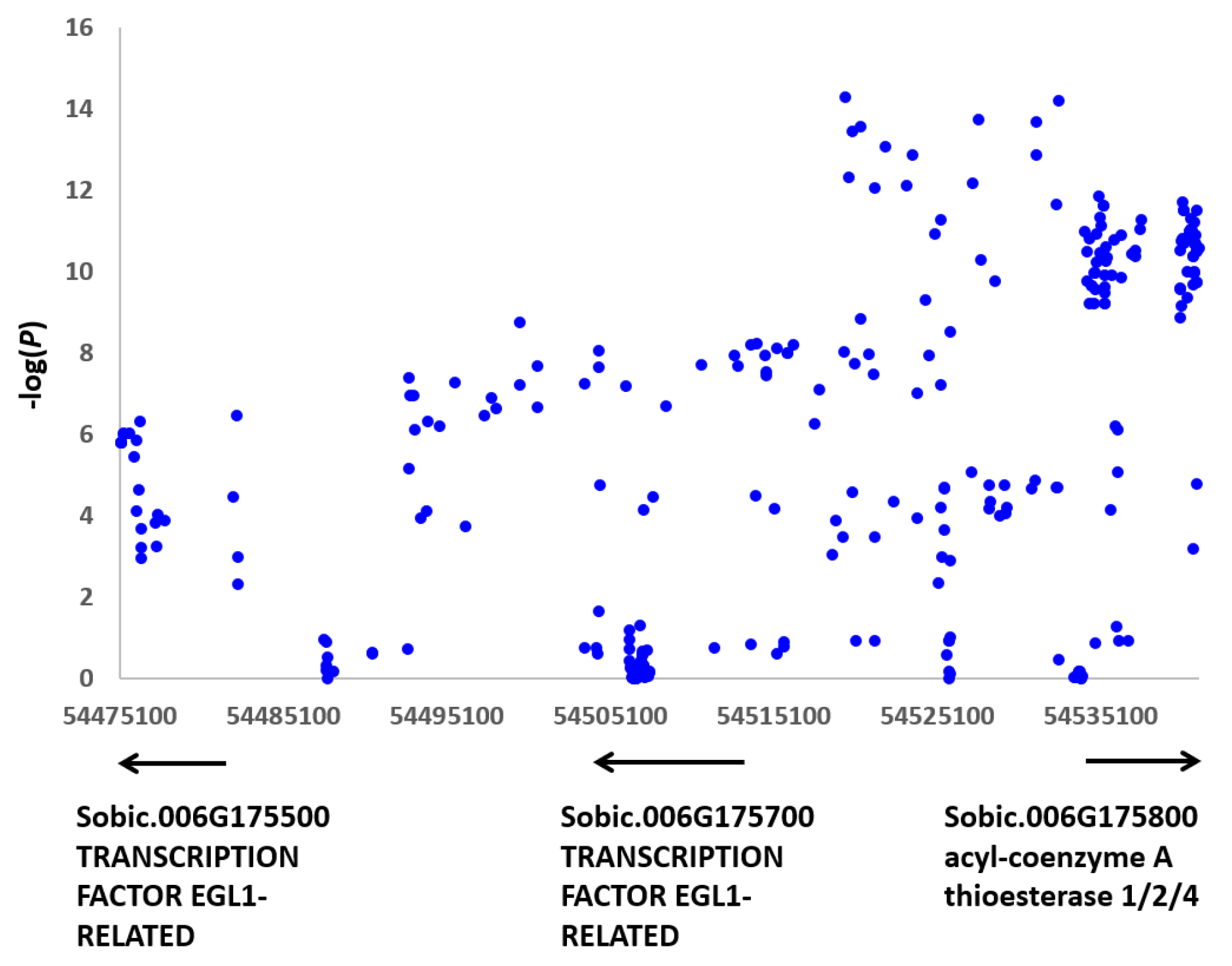 Agronomy 15 00688 g004
