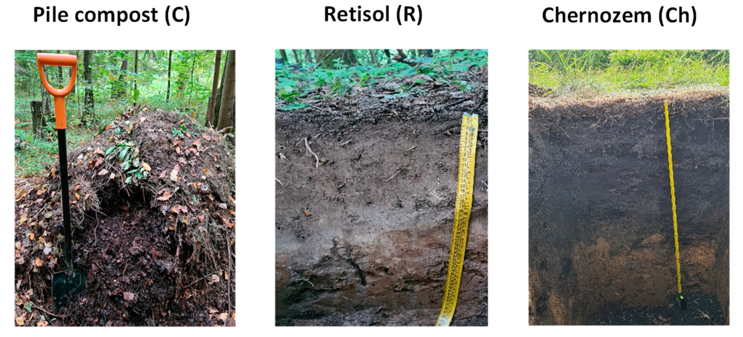 Agronomy 15 00689 g001