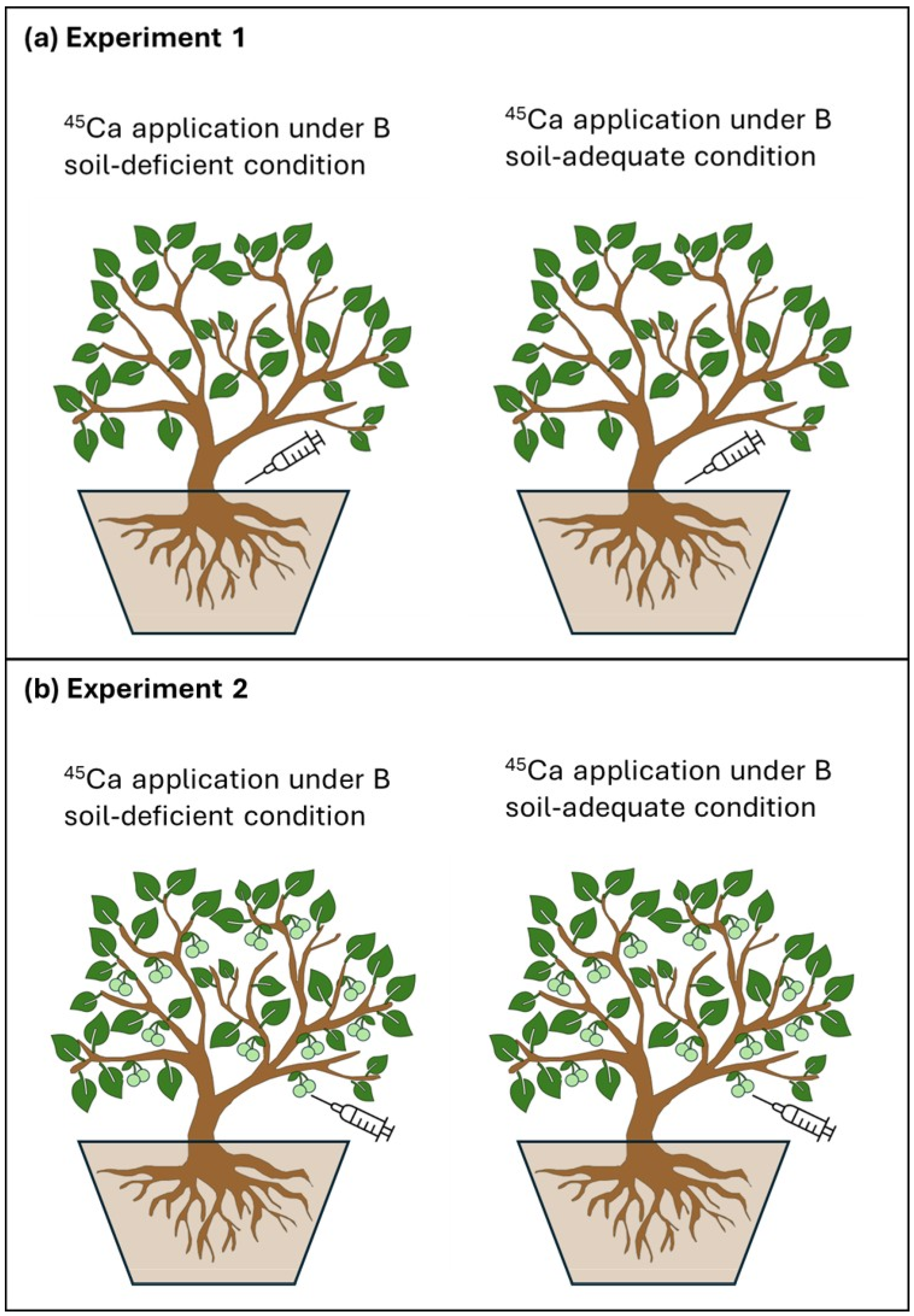 Agronomy 15 00691 g001