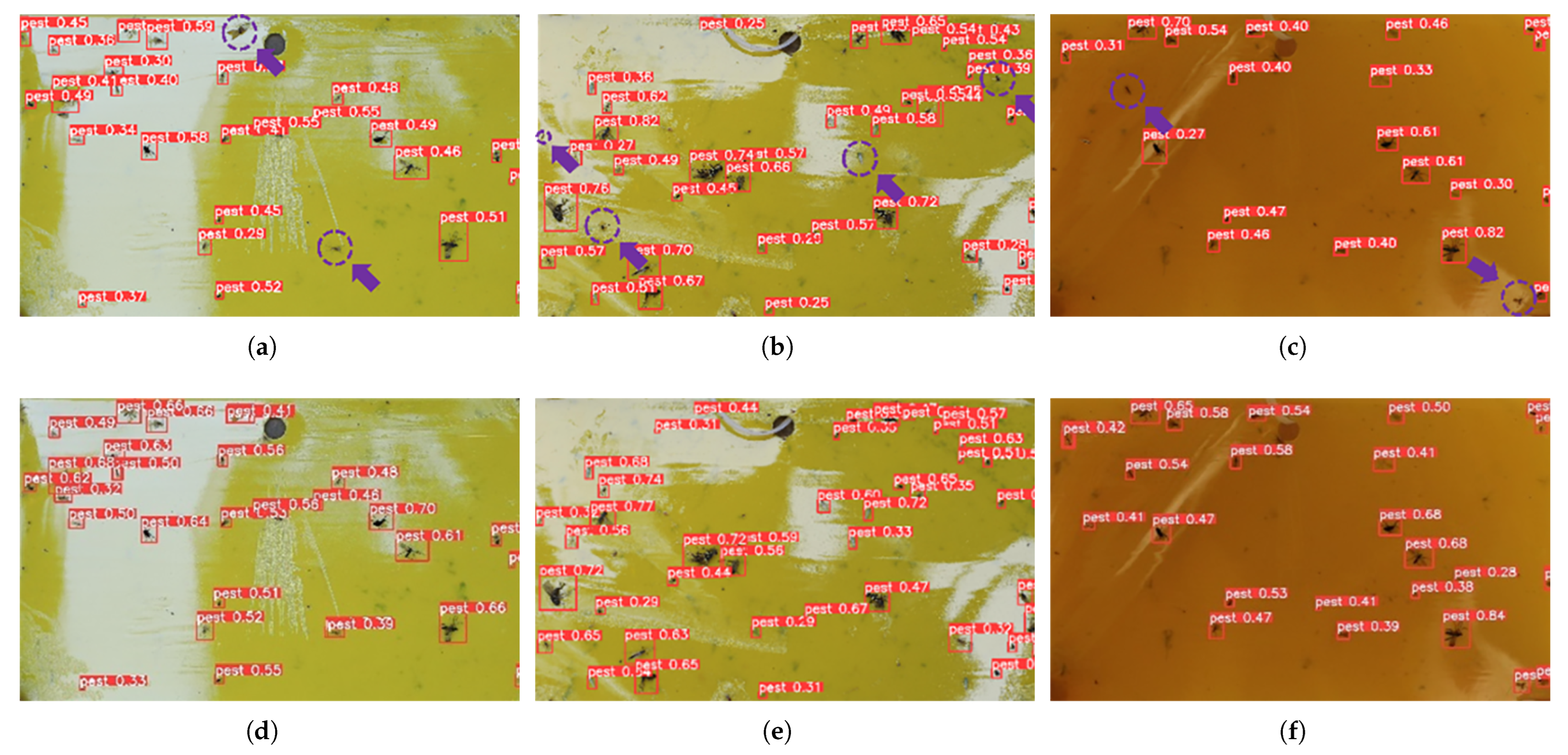 Agronomy 15 00693 g010