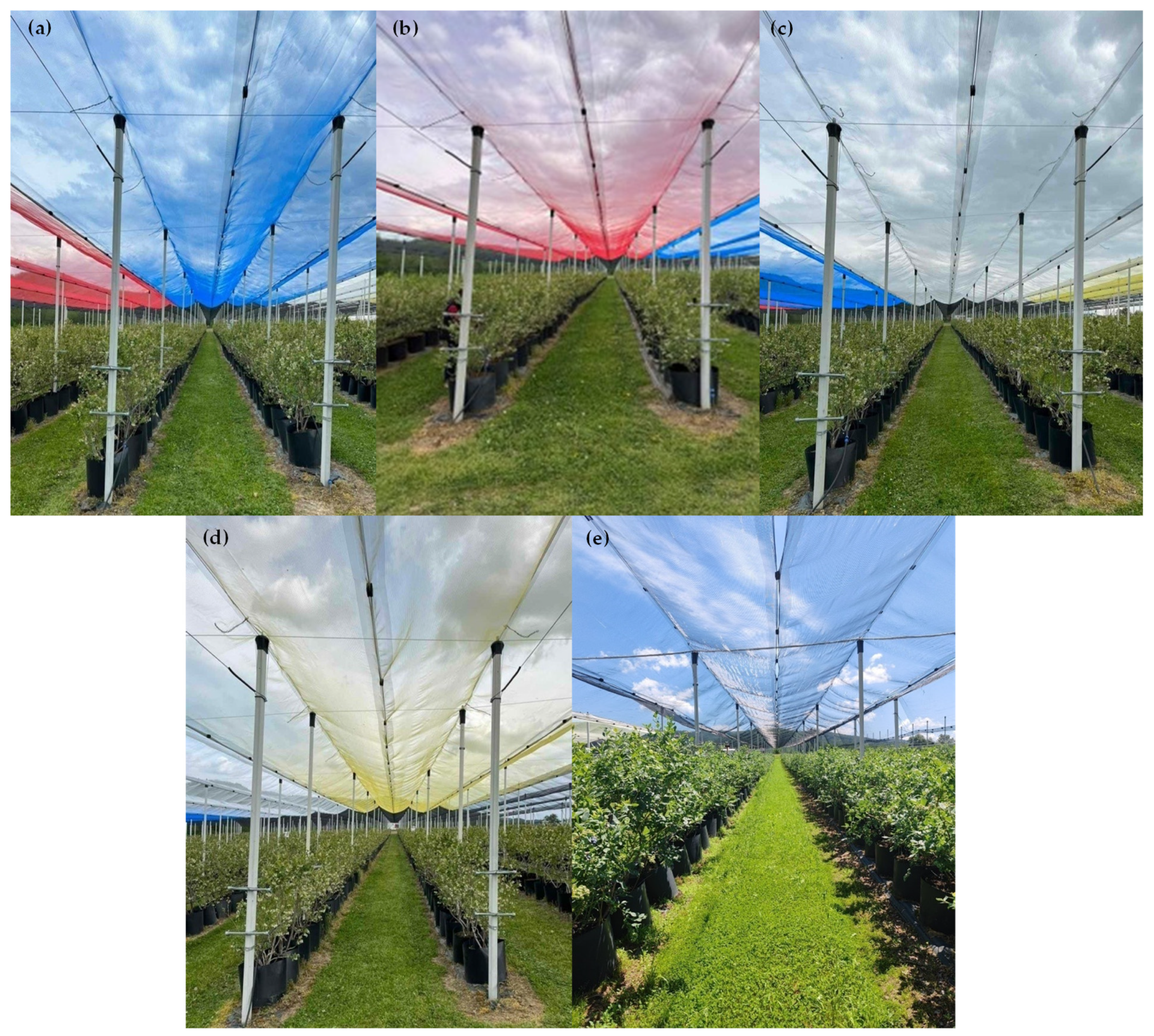 Agronomy 15 00697 g001 Agronomy 15 00697 g001