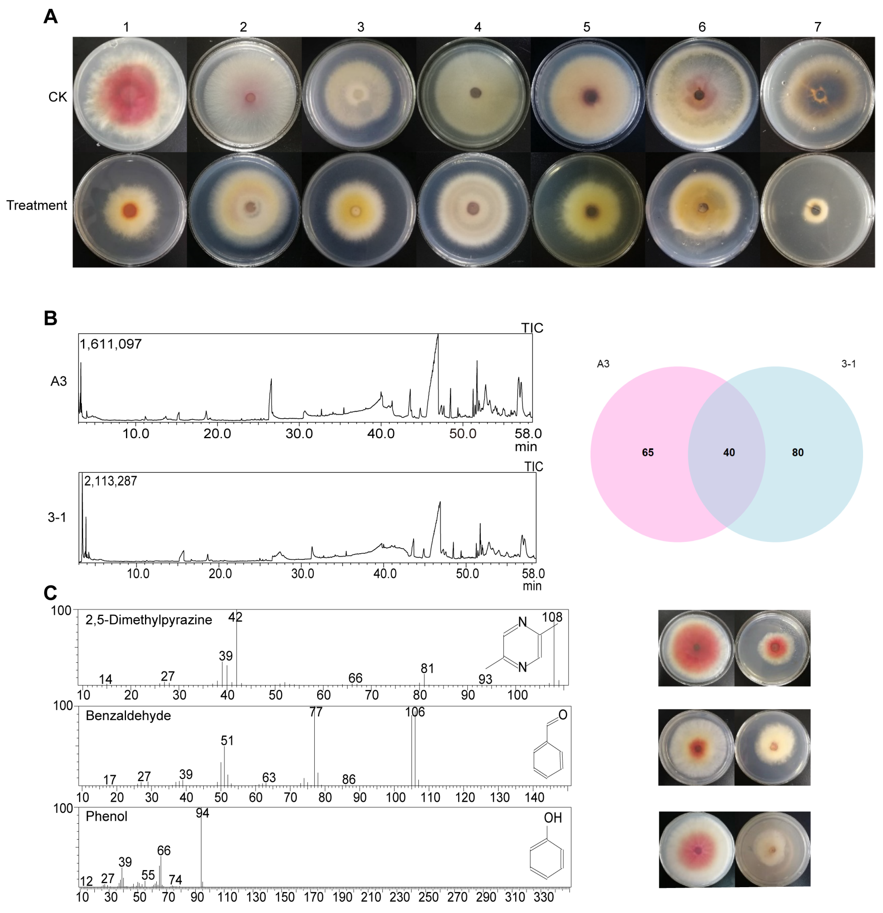 Agronomy 15 00706 g002