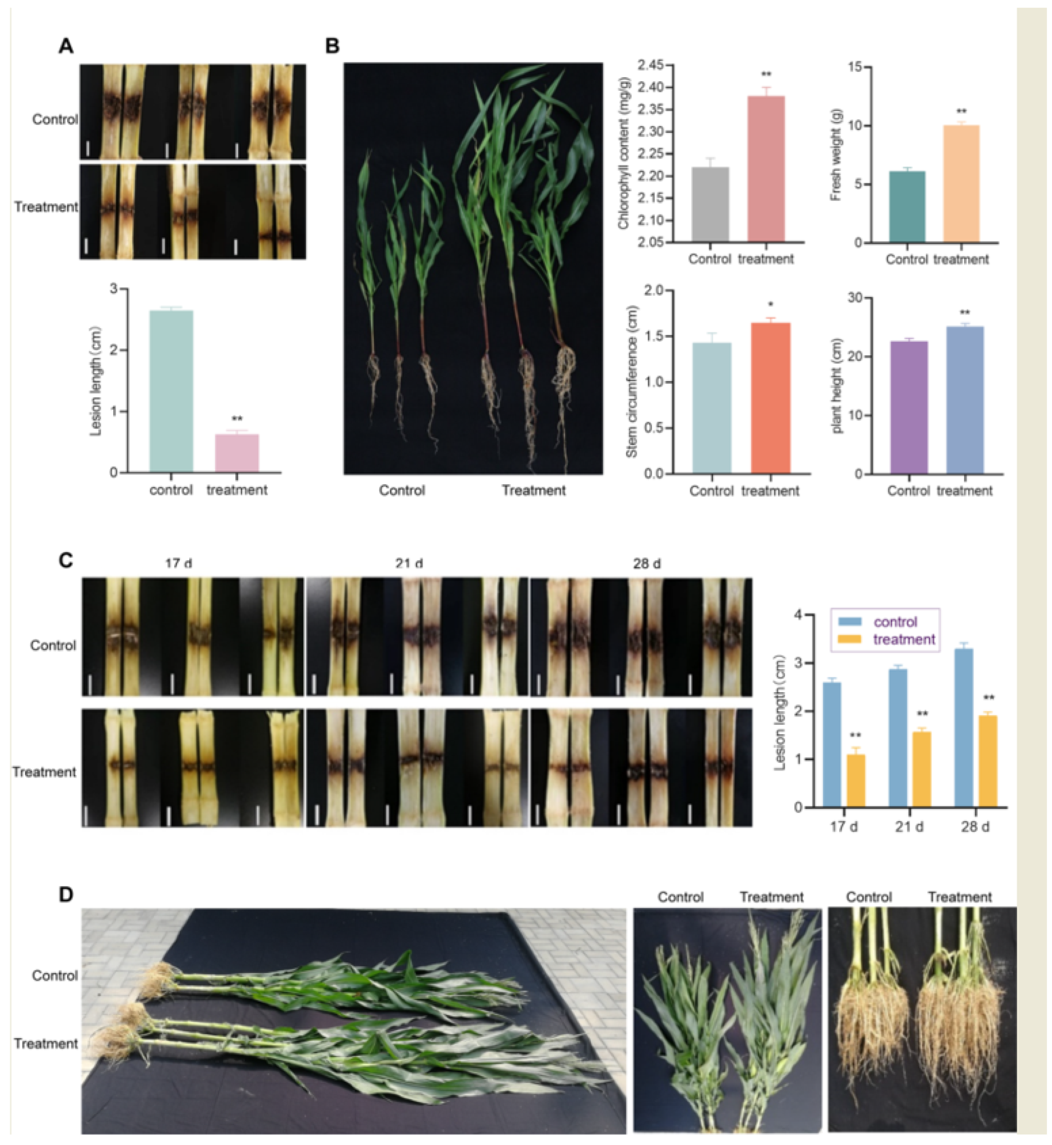 Agronomy 15 00706 g003