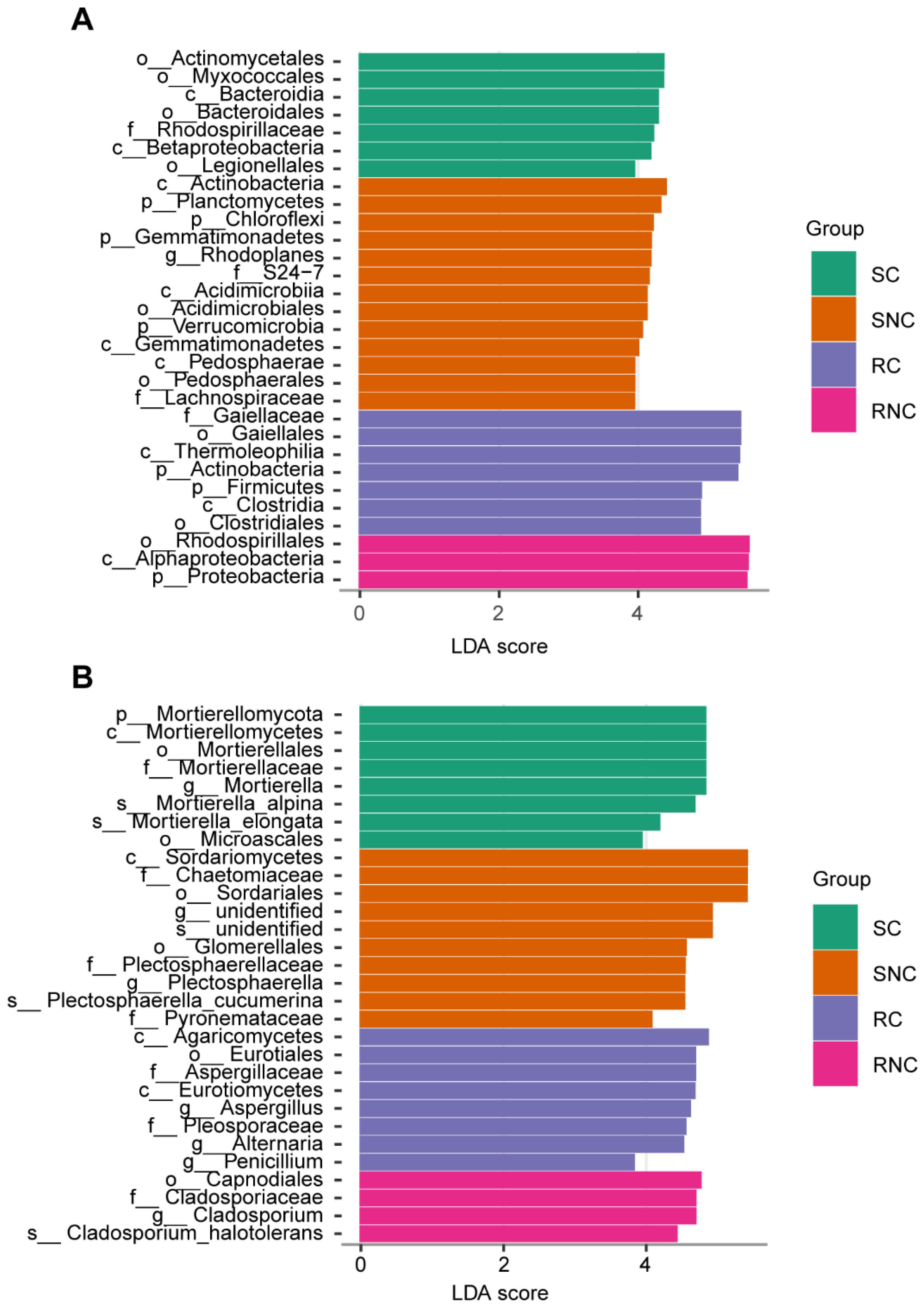 Agronomy 15 00706 g007