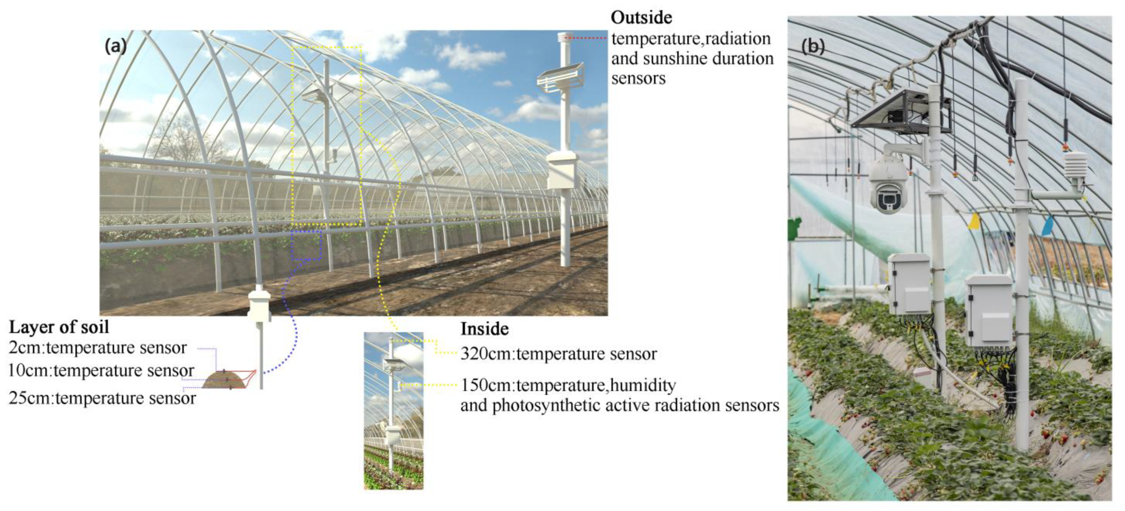 Agronomy 15 00709 g002