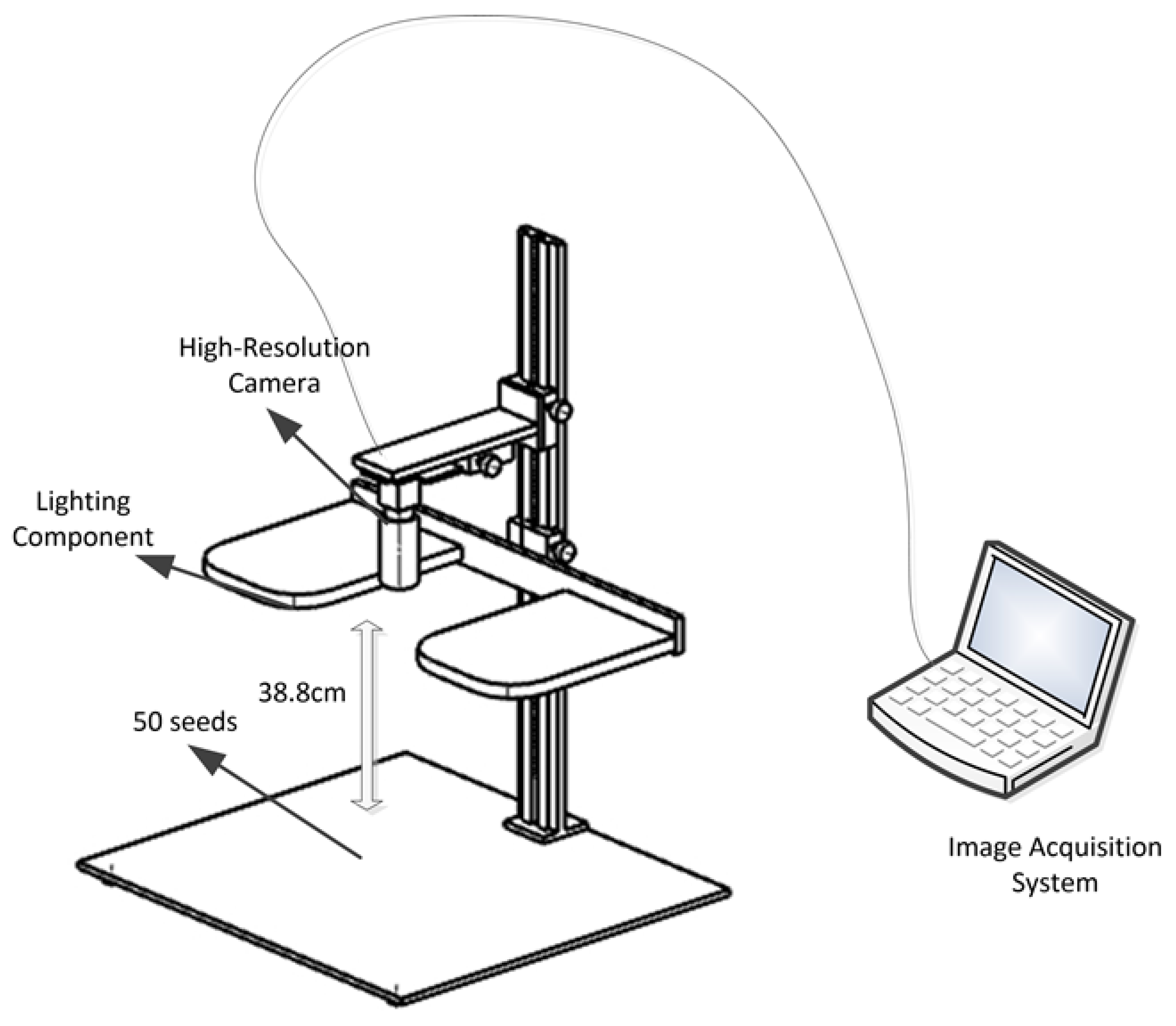 Agronomy 15 00710 g001