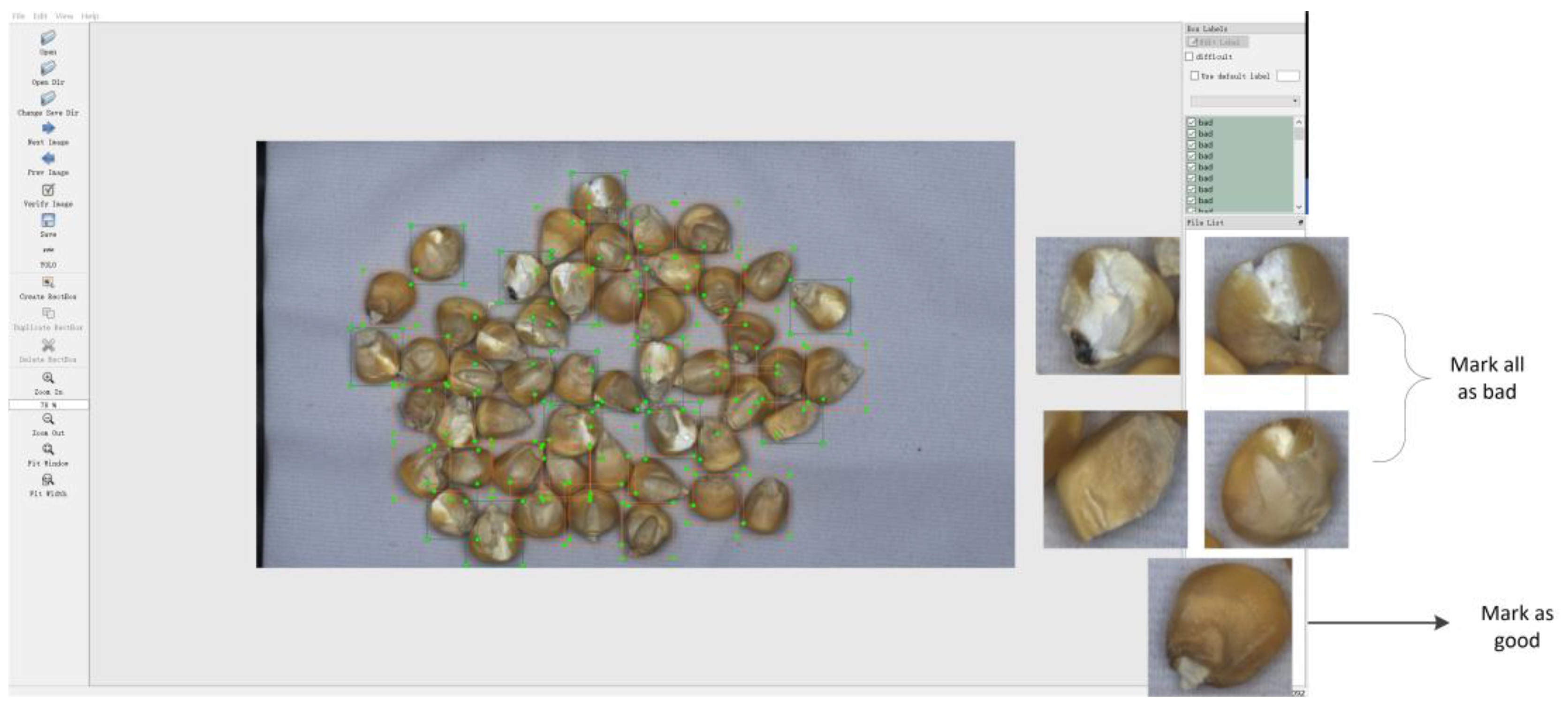 Agronomy 15 00710 g002