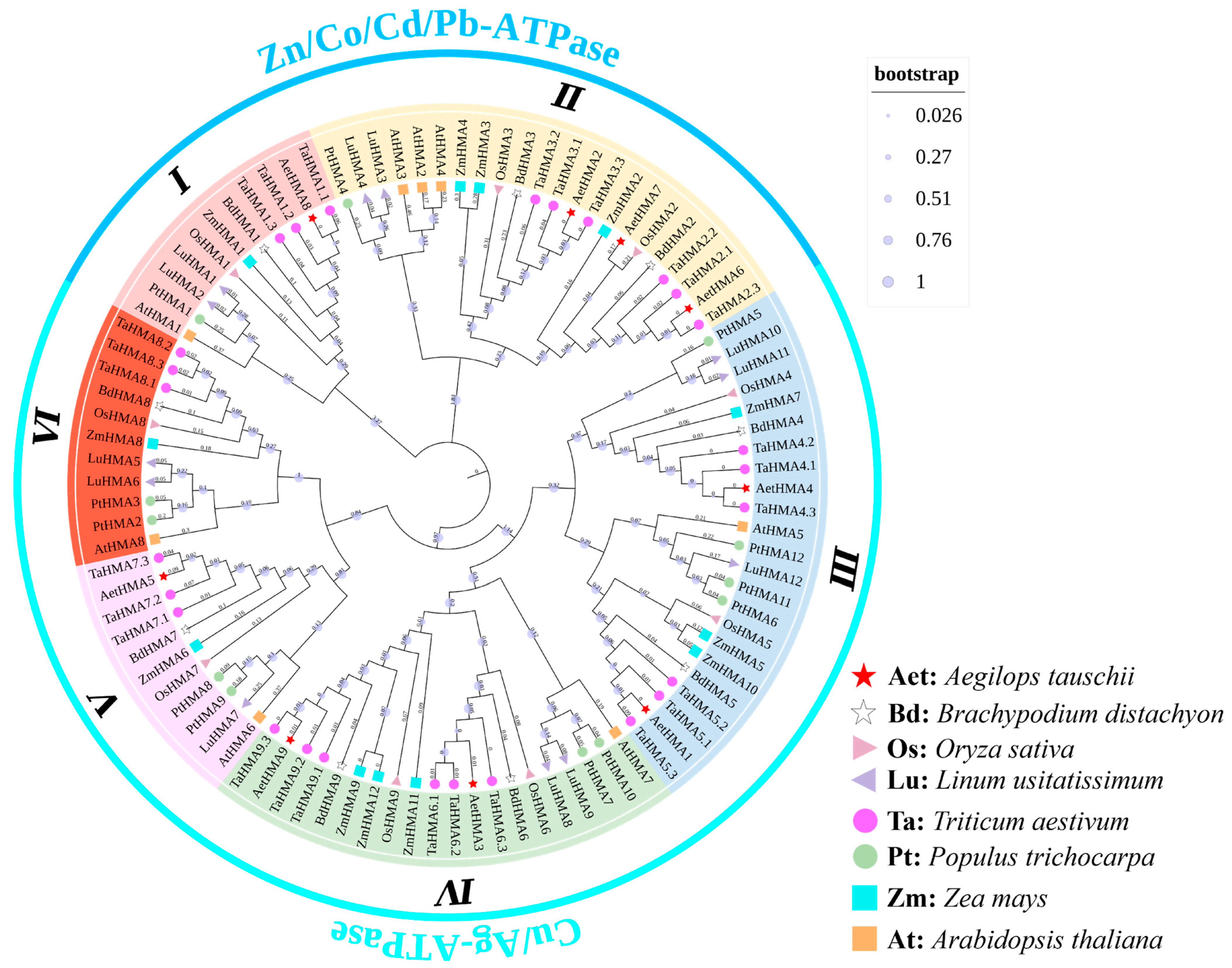 Agronomy 15 00714 g001