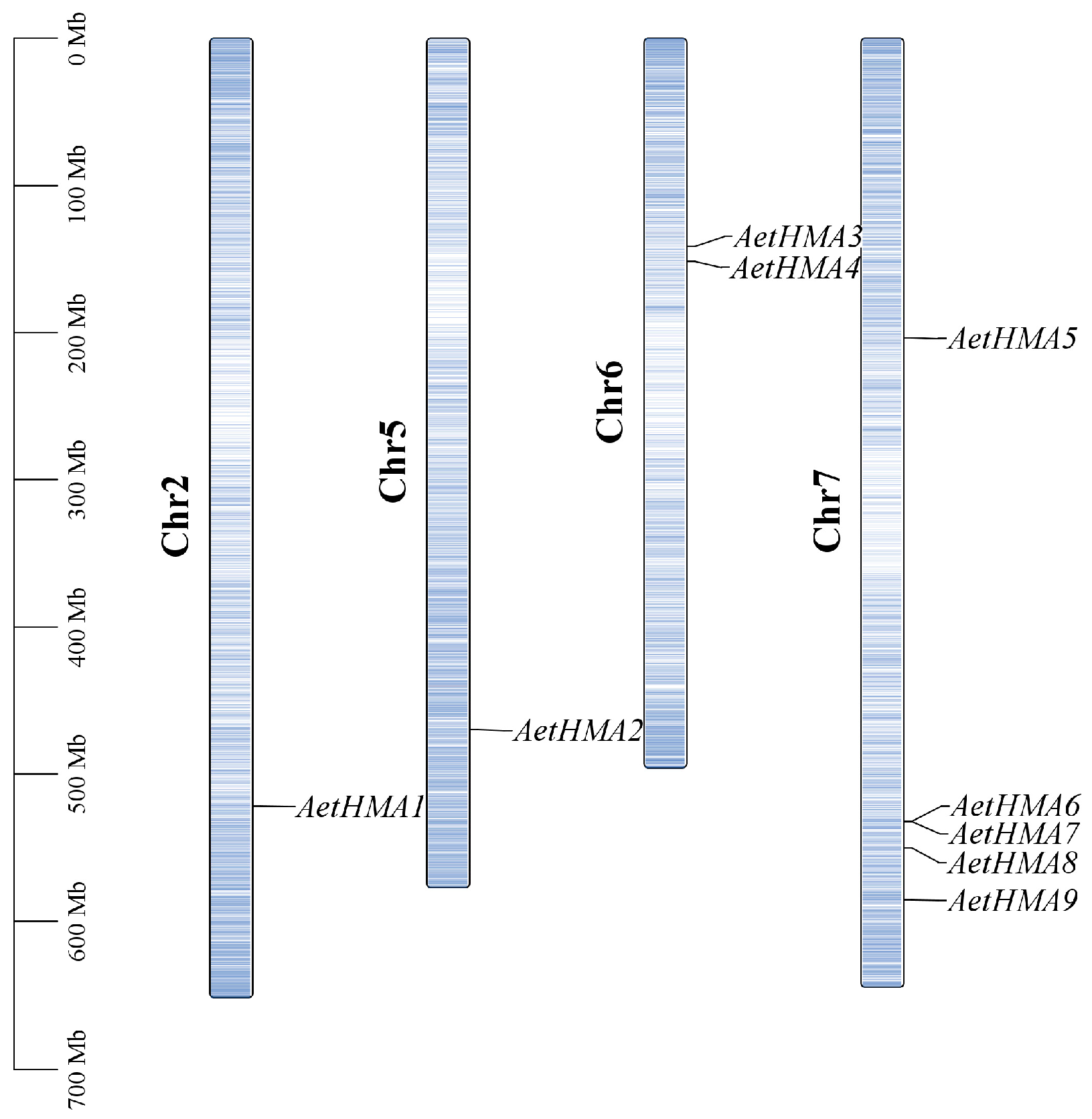 Agronomy 15 00714 g002