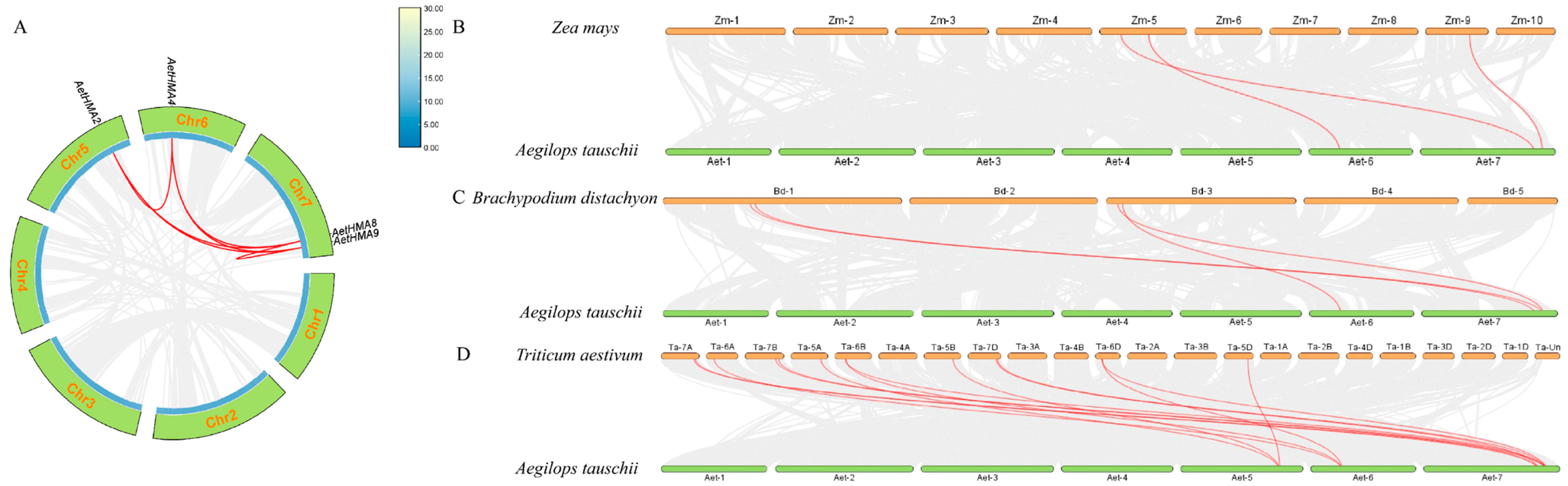 Agronomy 15 00714 g003