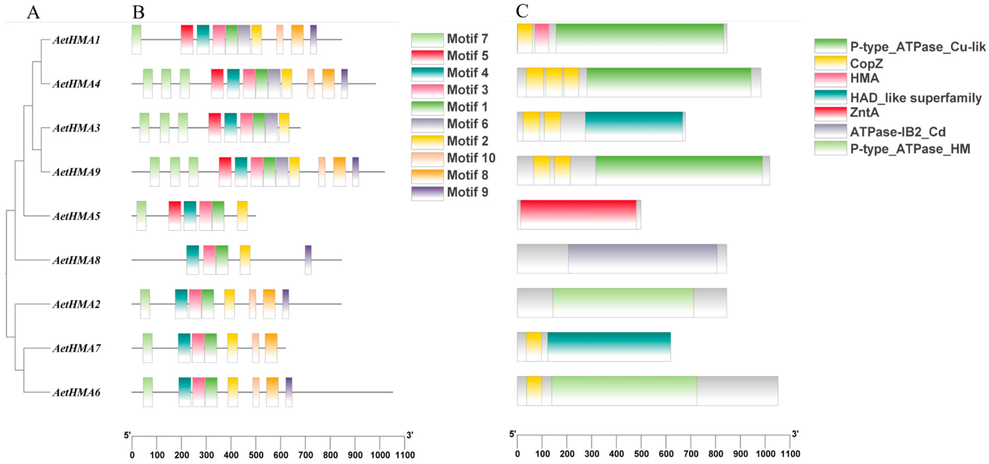 Agronomy 15 00714 g005