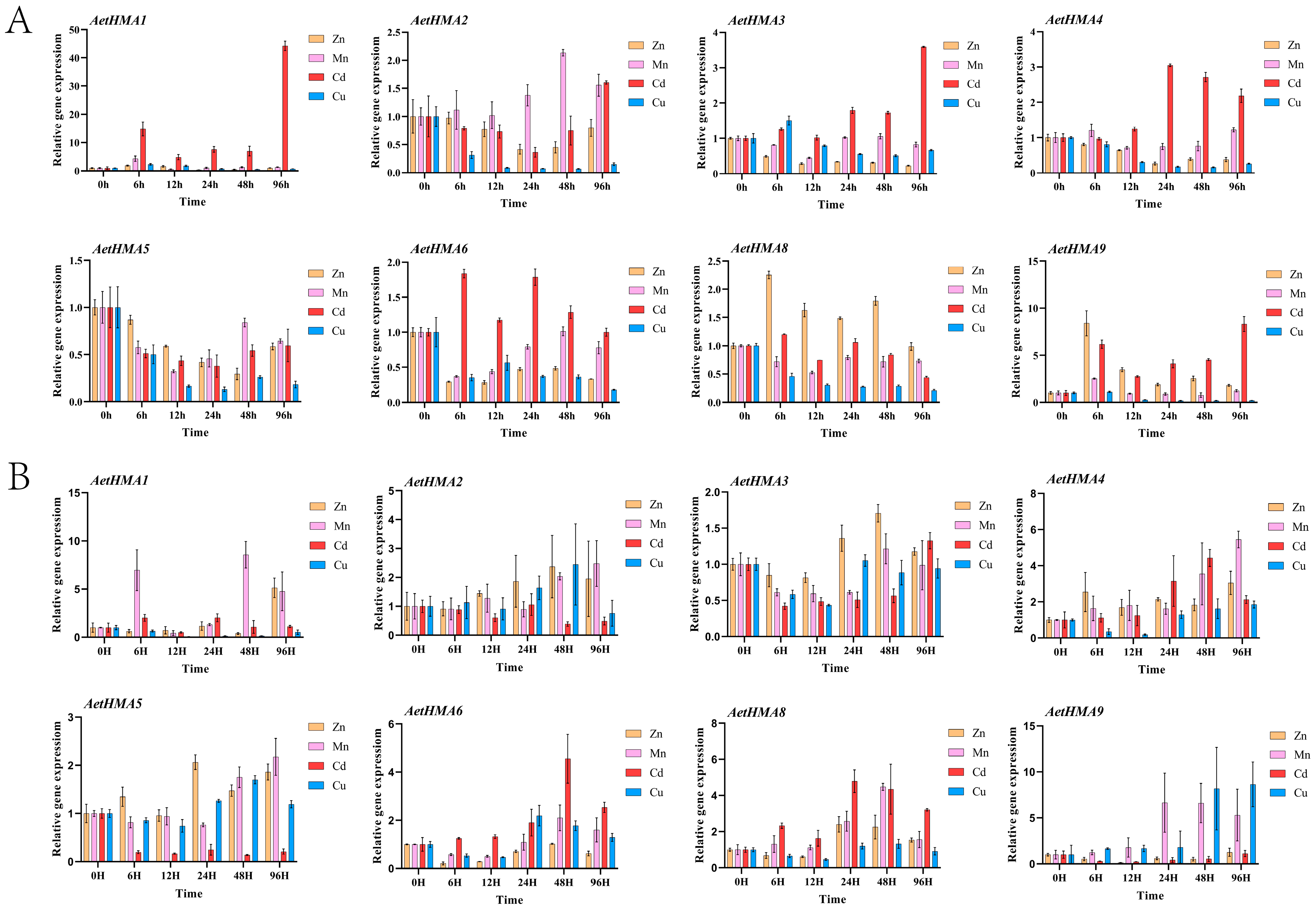Agronomy 15 00714 g006