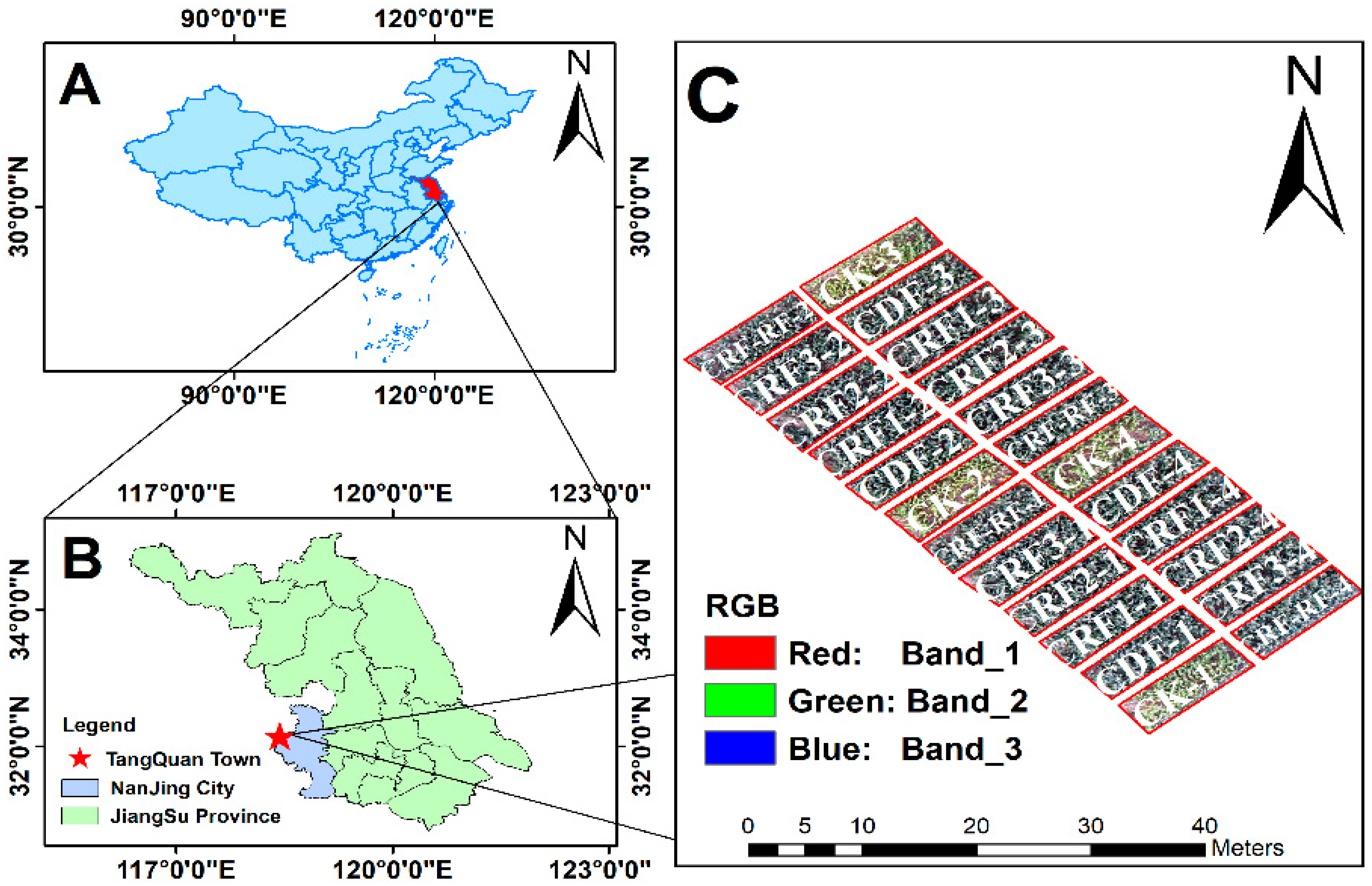 Agronomy 15 00716 g001