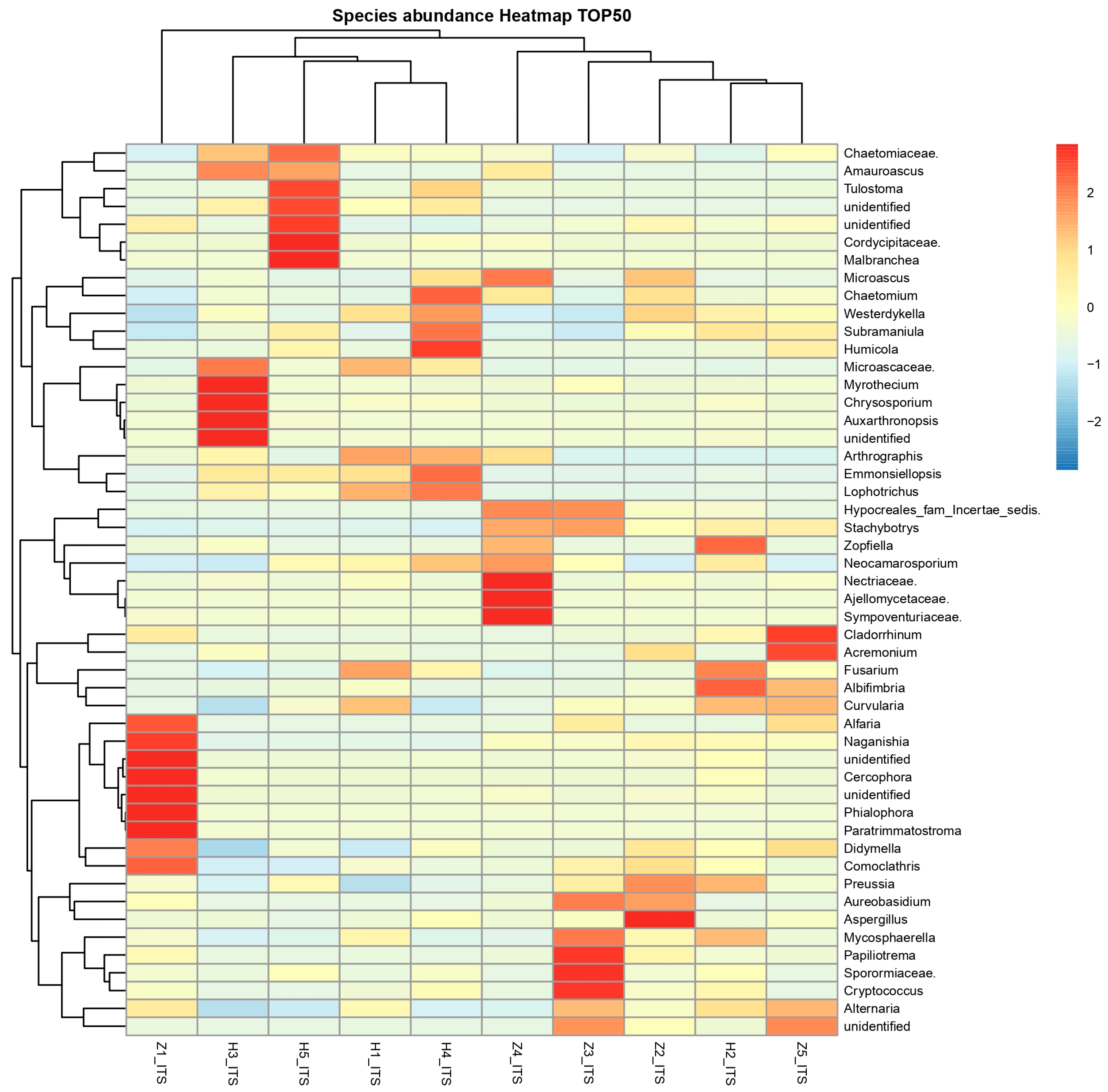 Agronomy 15 00717 g004