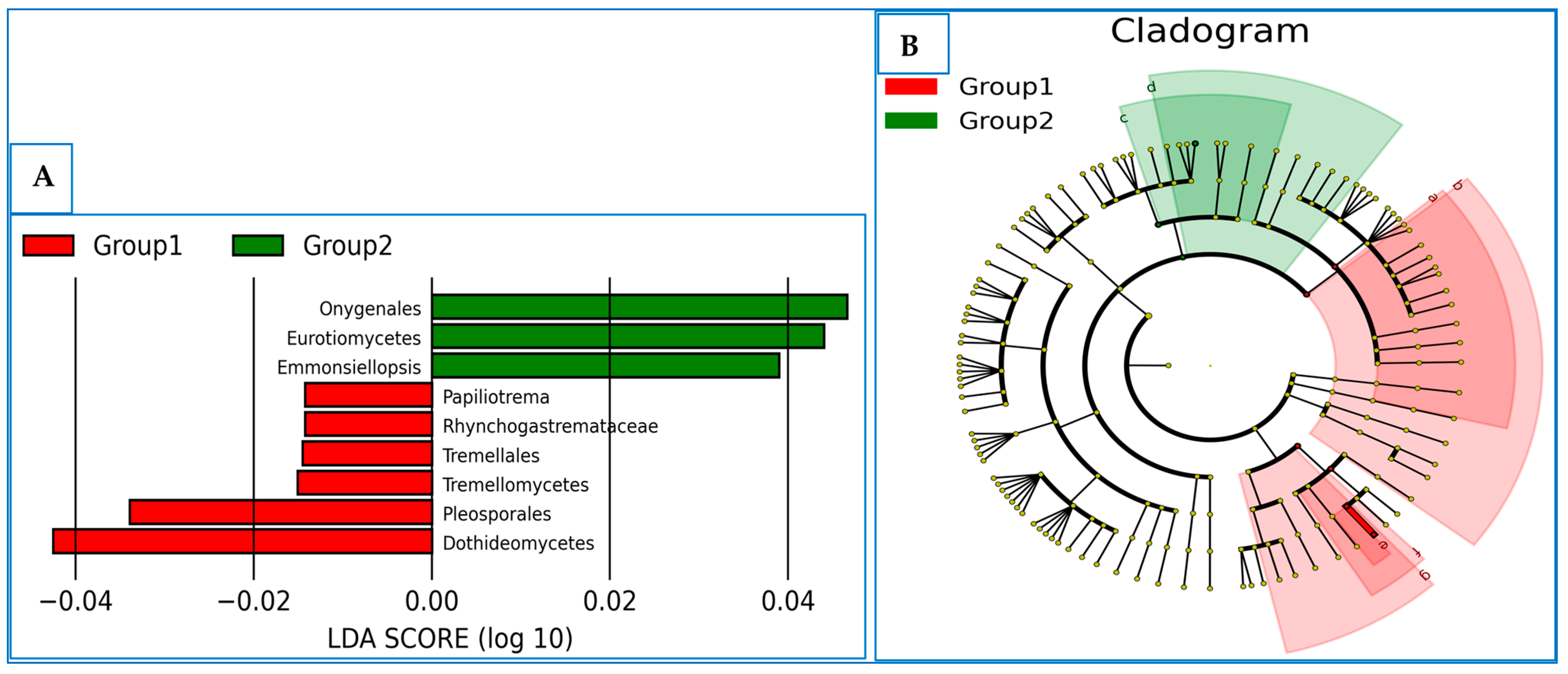 Agronomy 15 00717 g009
