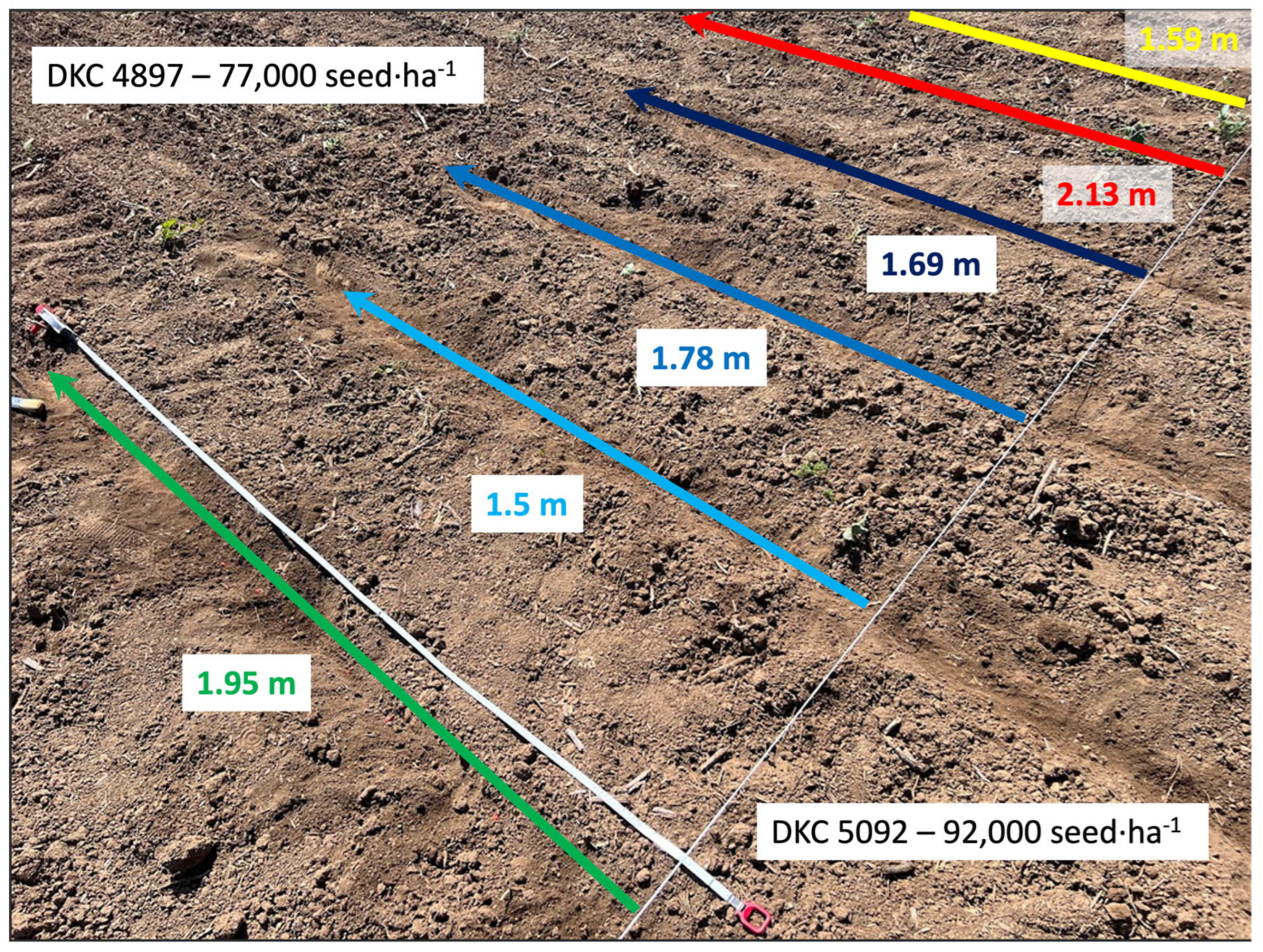 Agronomy 15 00718 g009