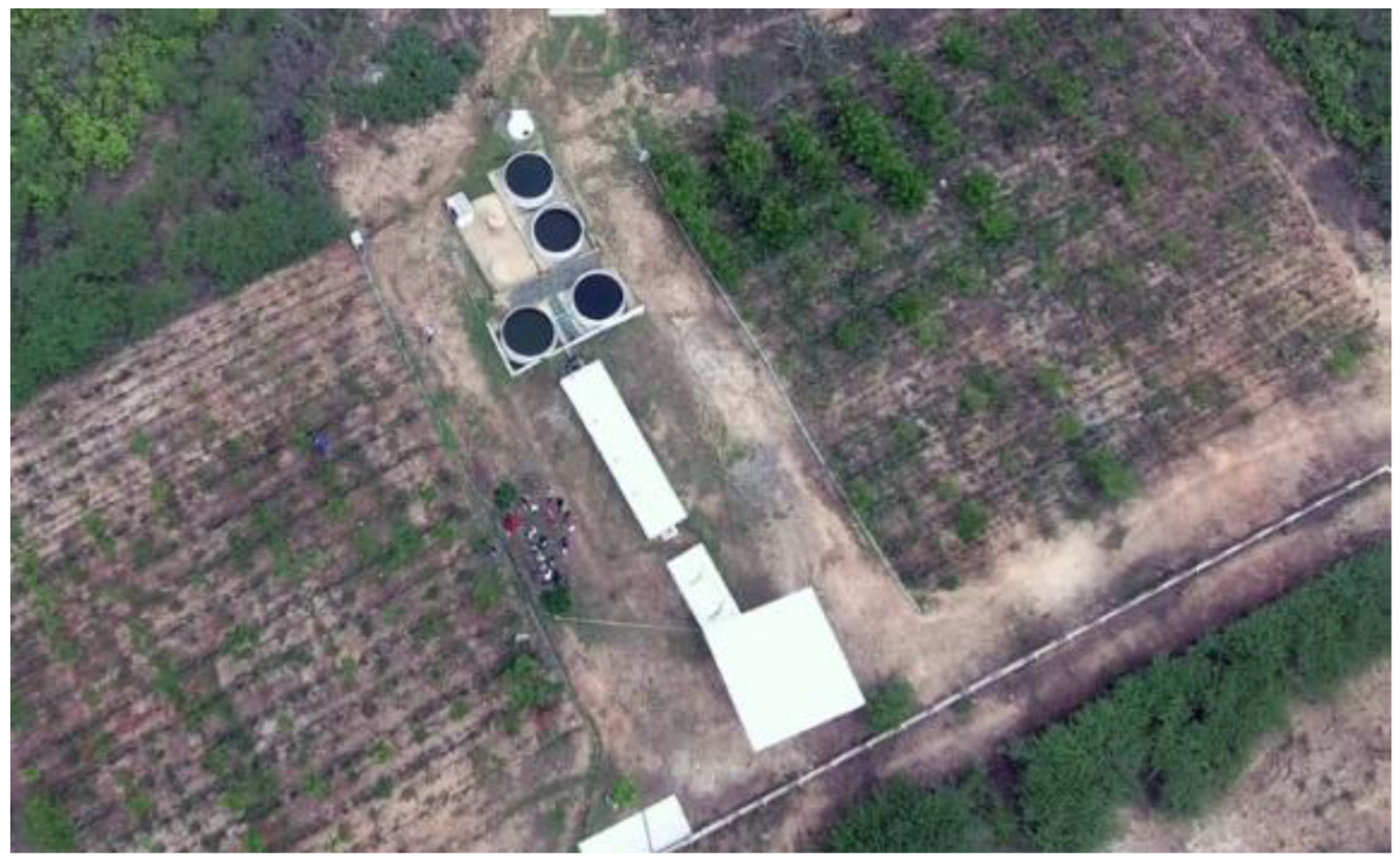 Agronomy 15 00721 g002 Agronomy 15 00721 g002