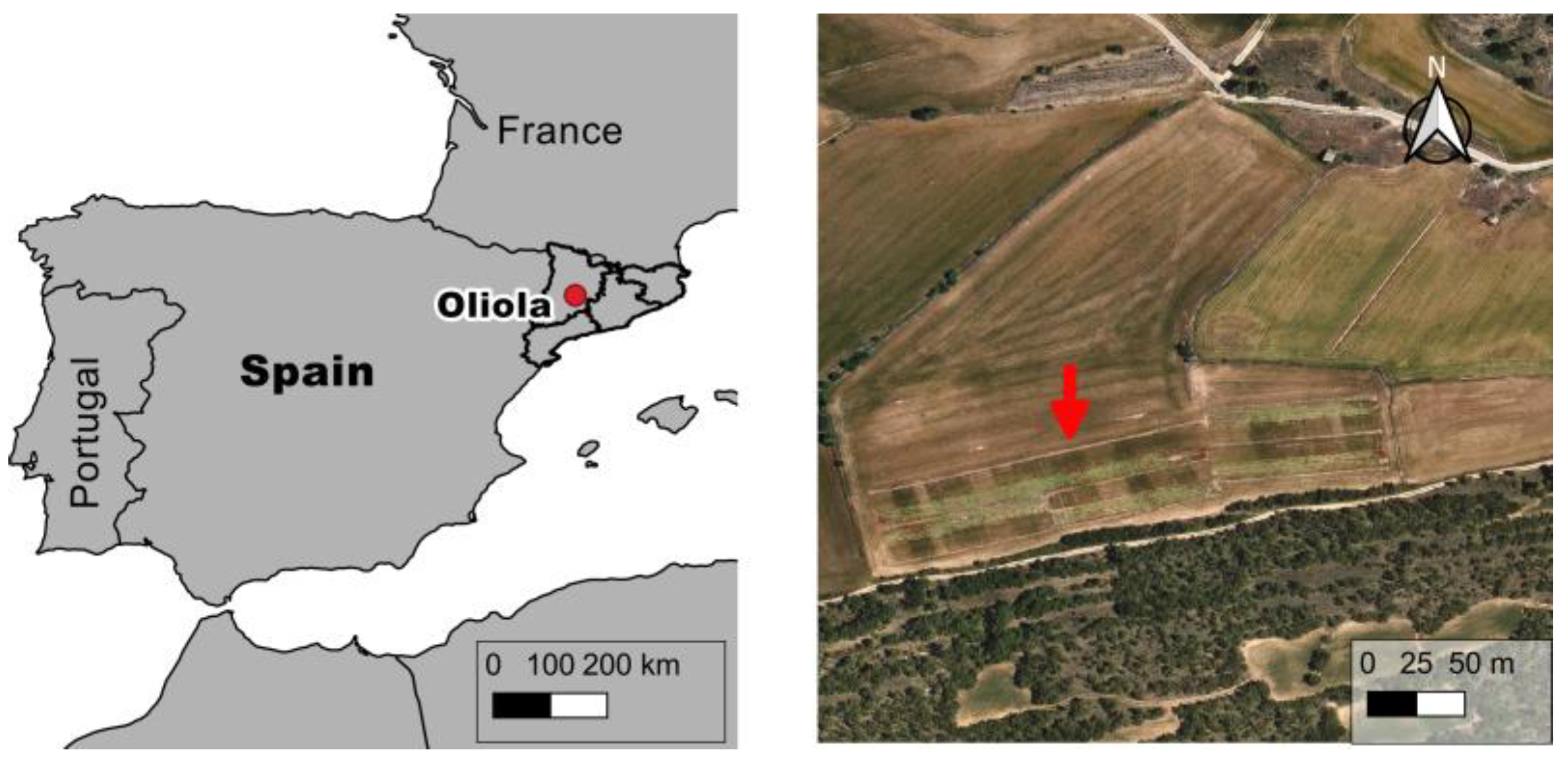 Agronomy 15 00725 g001