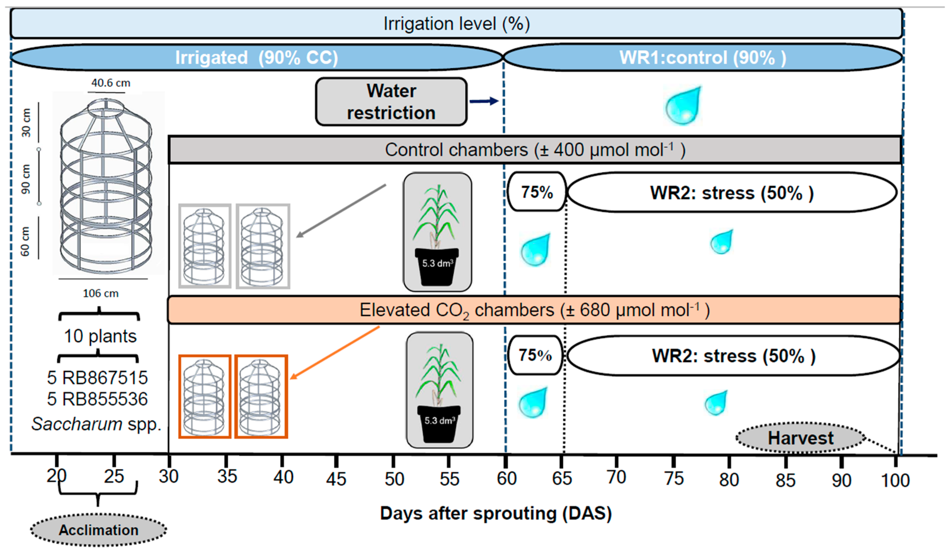 Agronomy 15 00726 g001