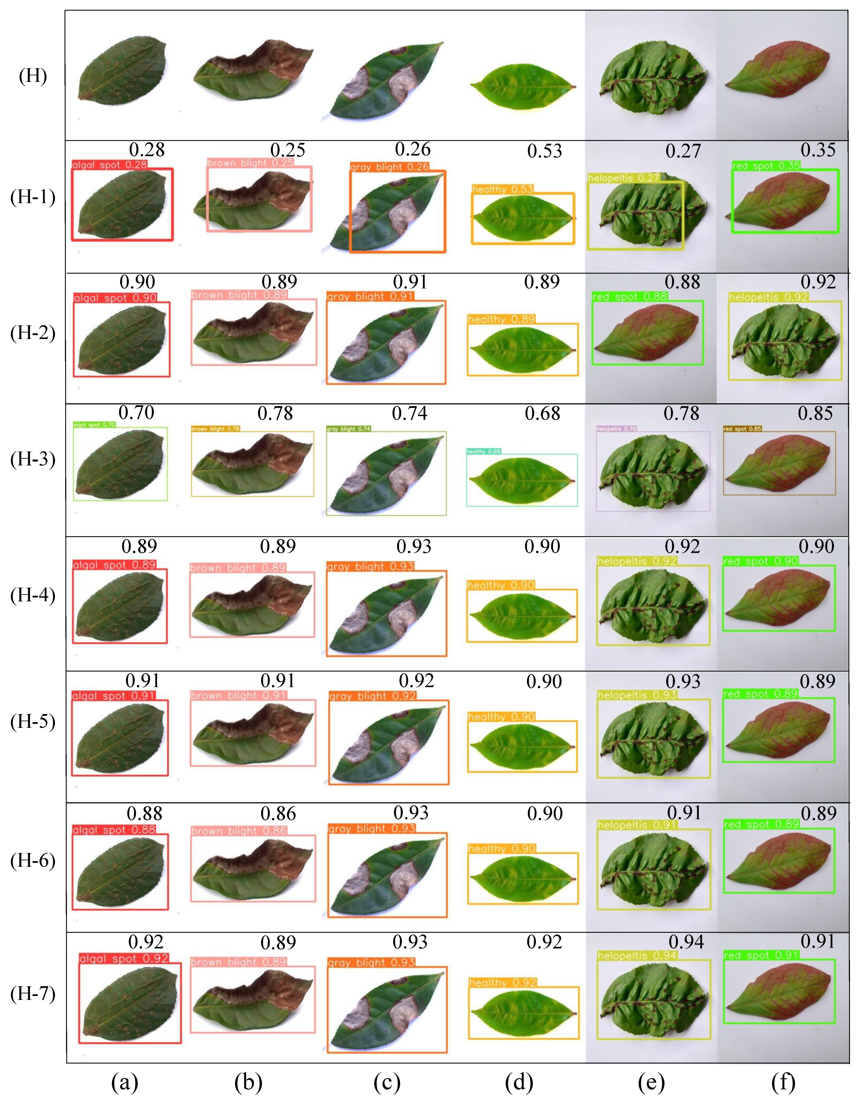 Agronomy 15 00727 g009