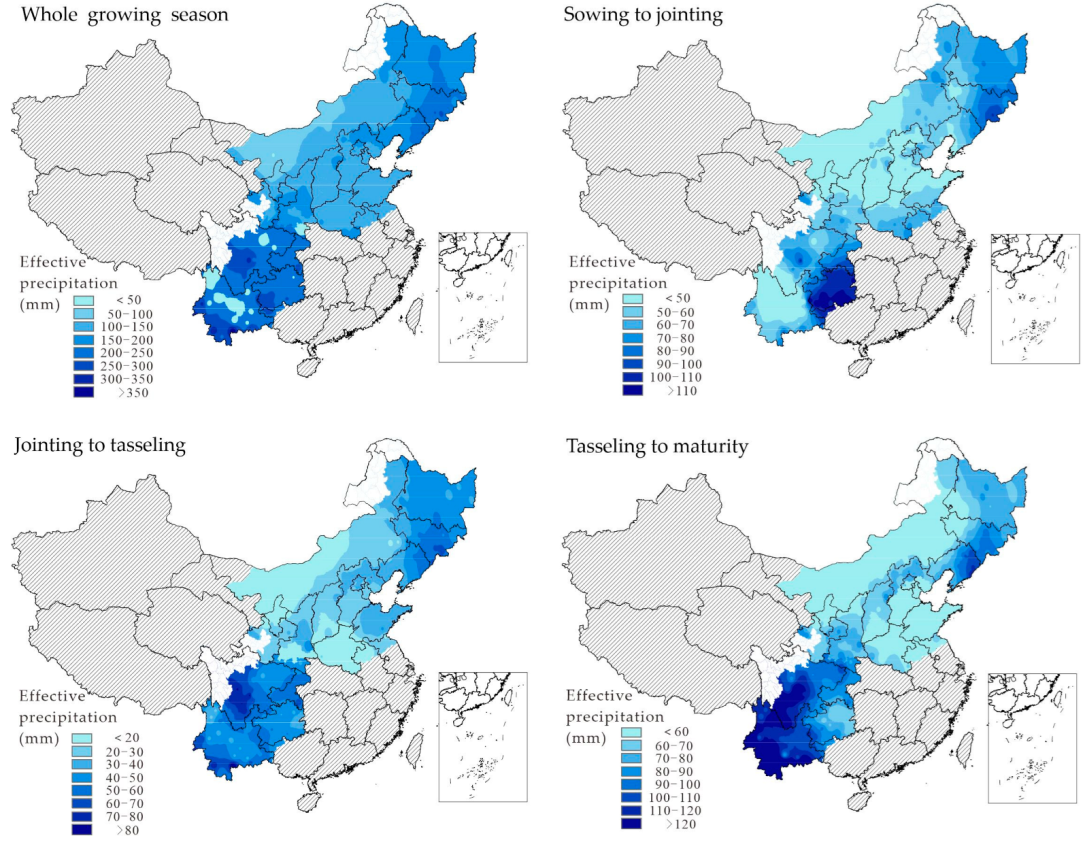 Agronomy 15 00728 g002