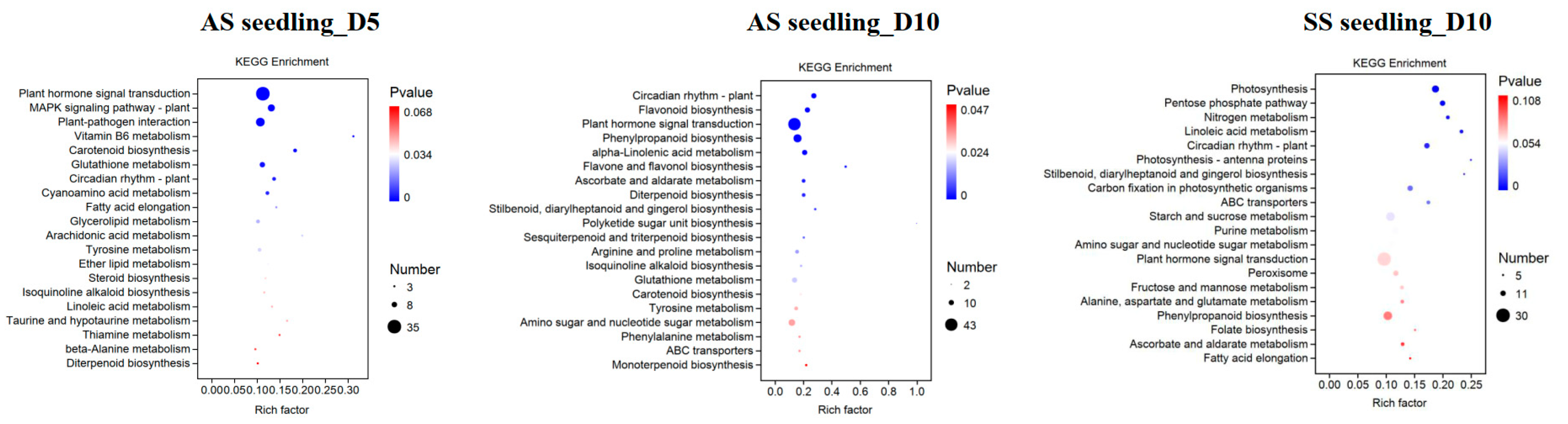 Agronomy 15 00735 g005