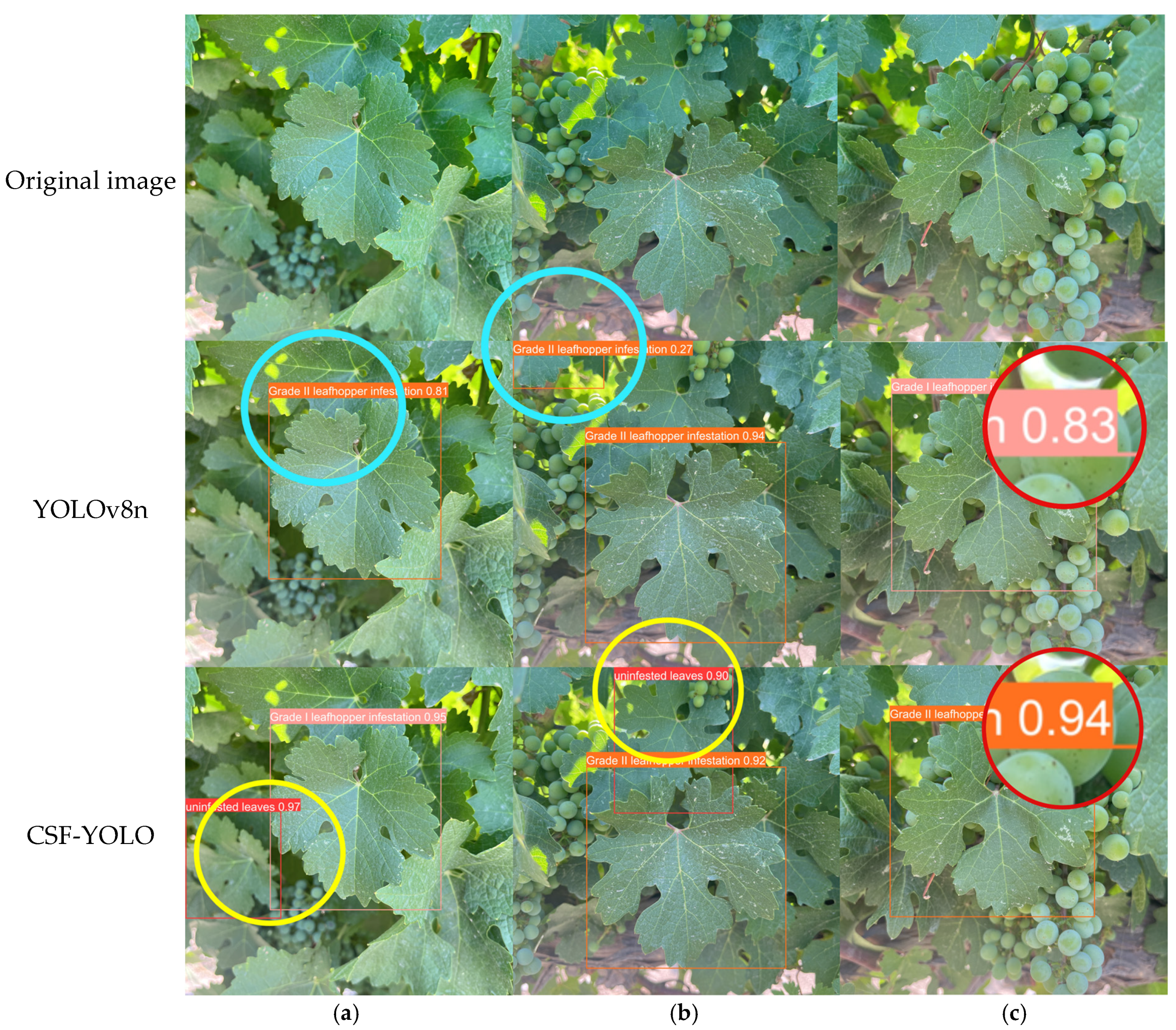 Agronomy 15 00741 g009