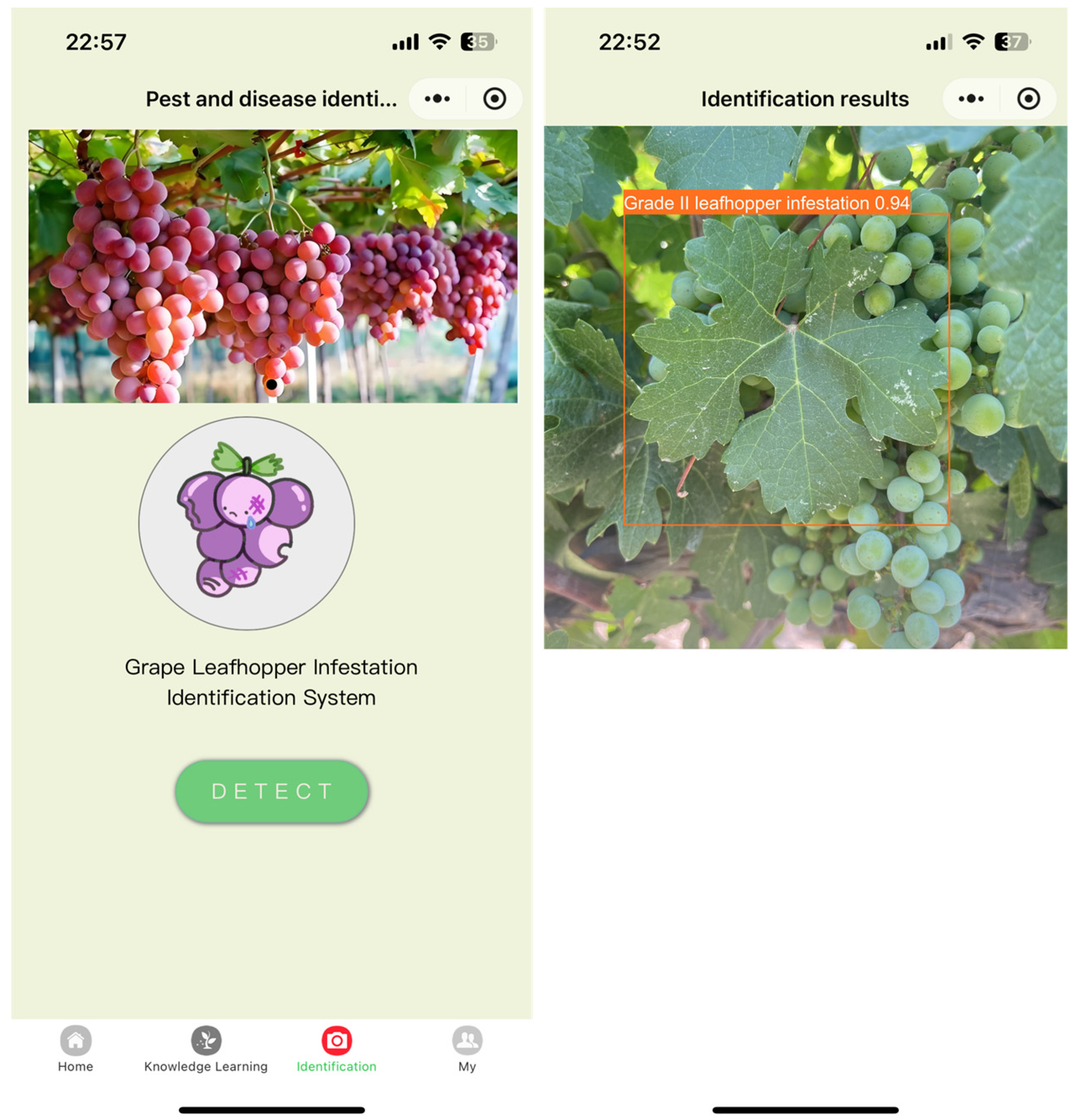 Agronomy 15 00741 g010