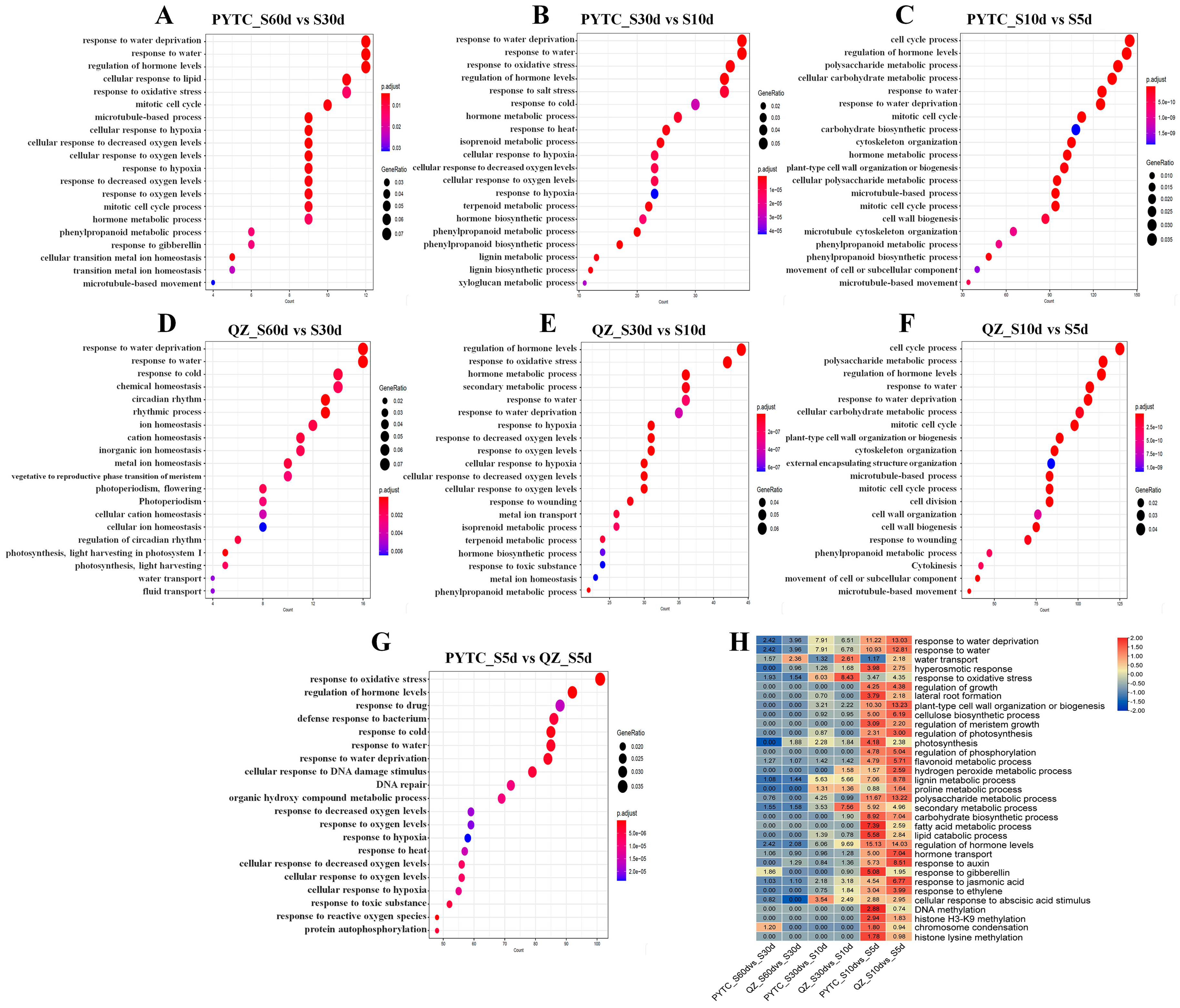 Agronomy 15 00748 g004