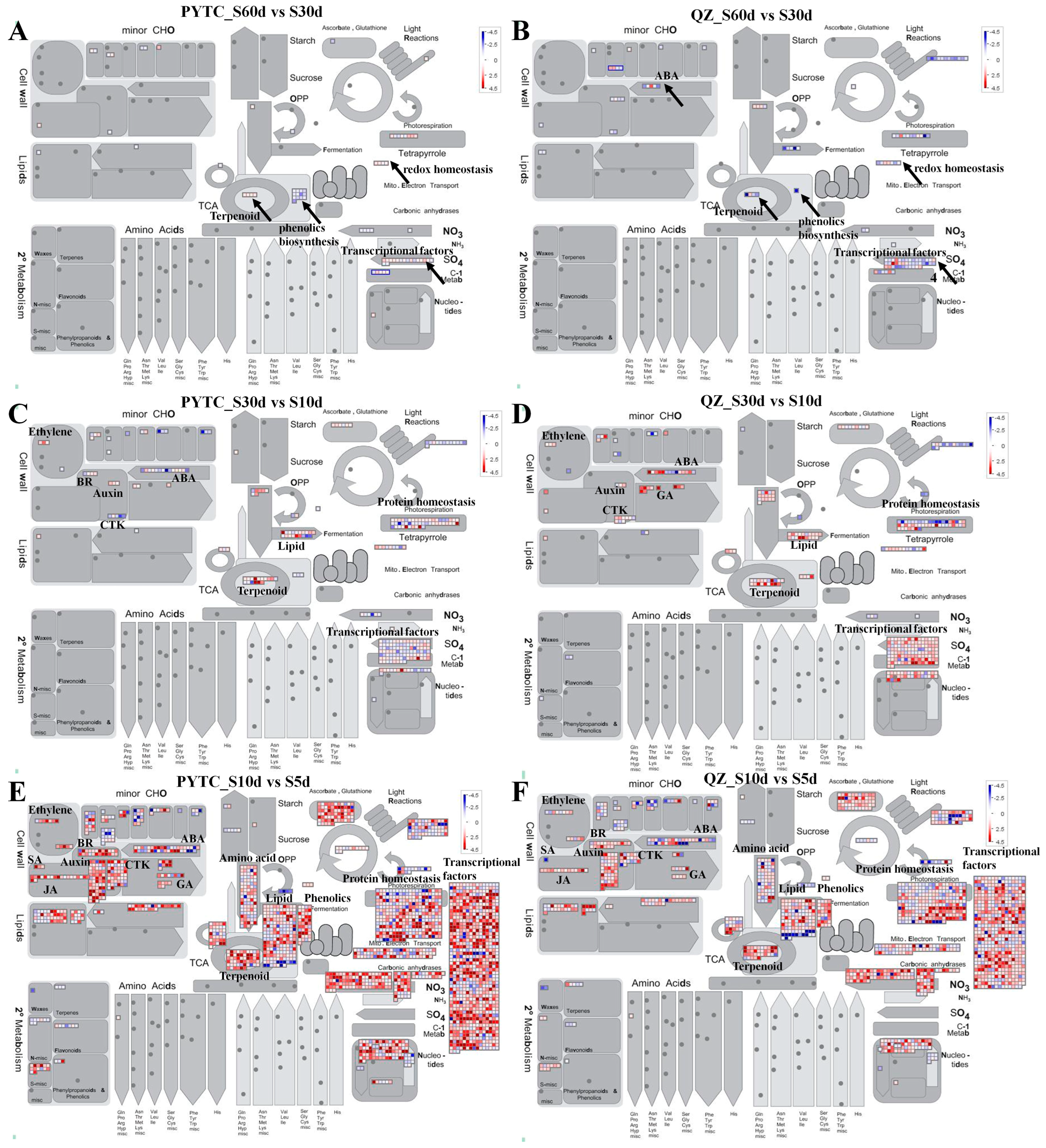 Agronomy 15 00748 g005