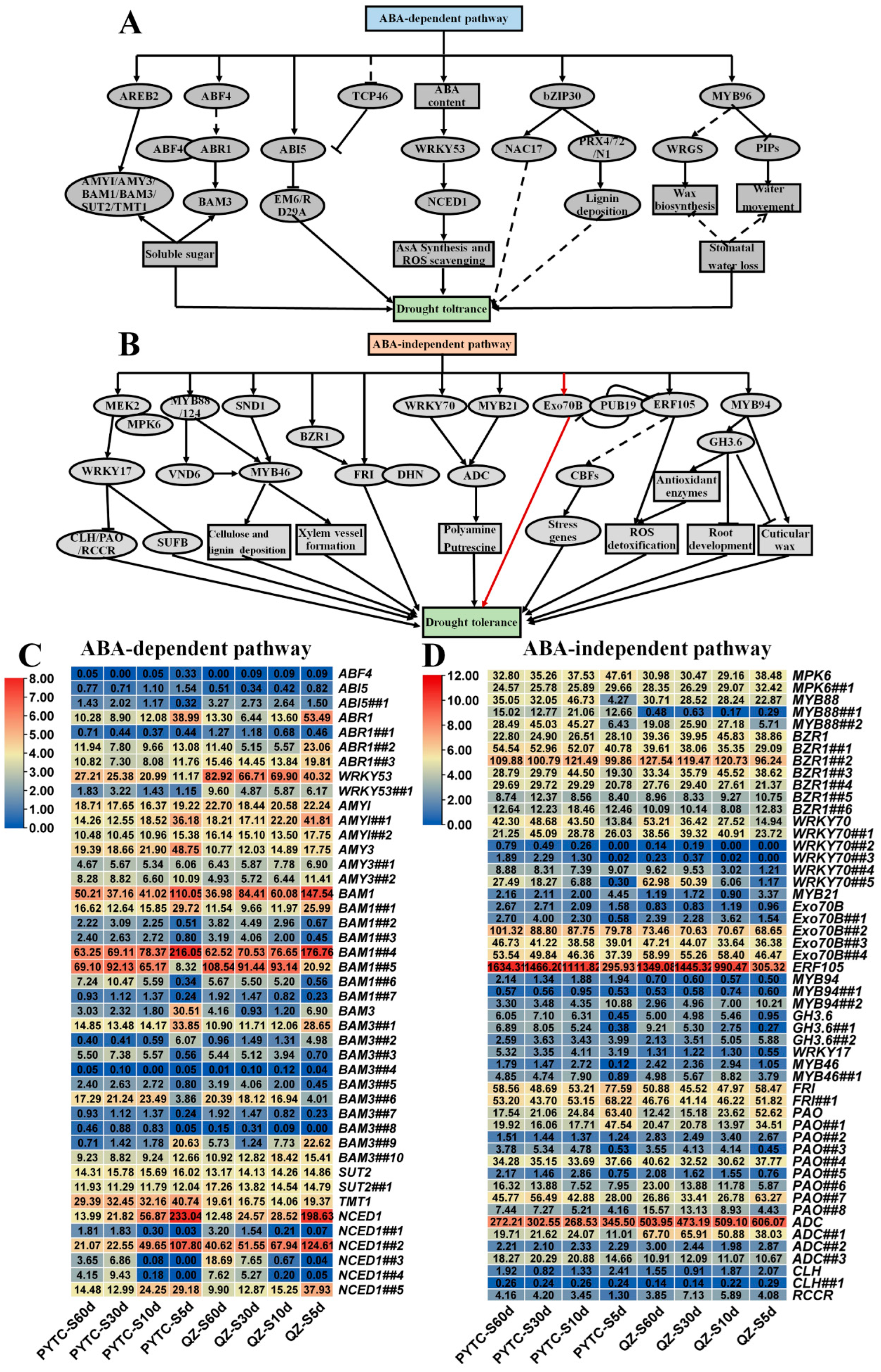 Agronomy 15 00748 g006