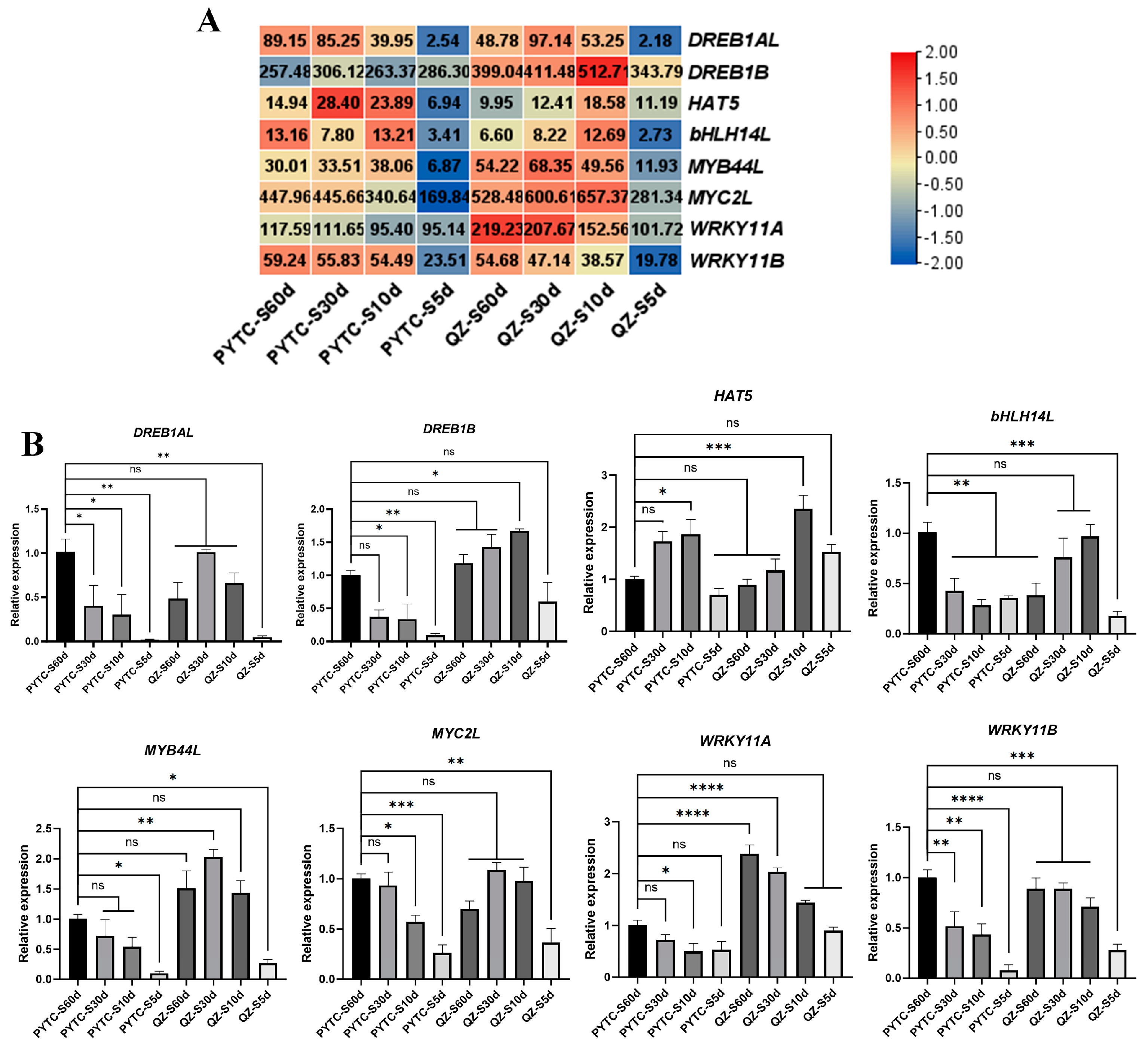 Agronomy 15 00748 g007