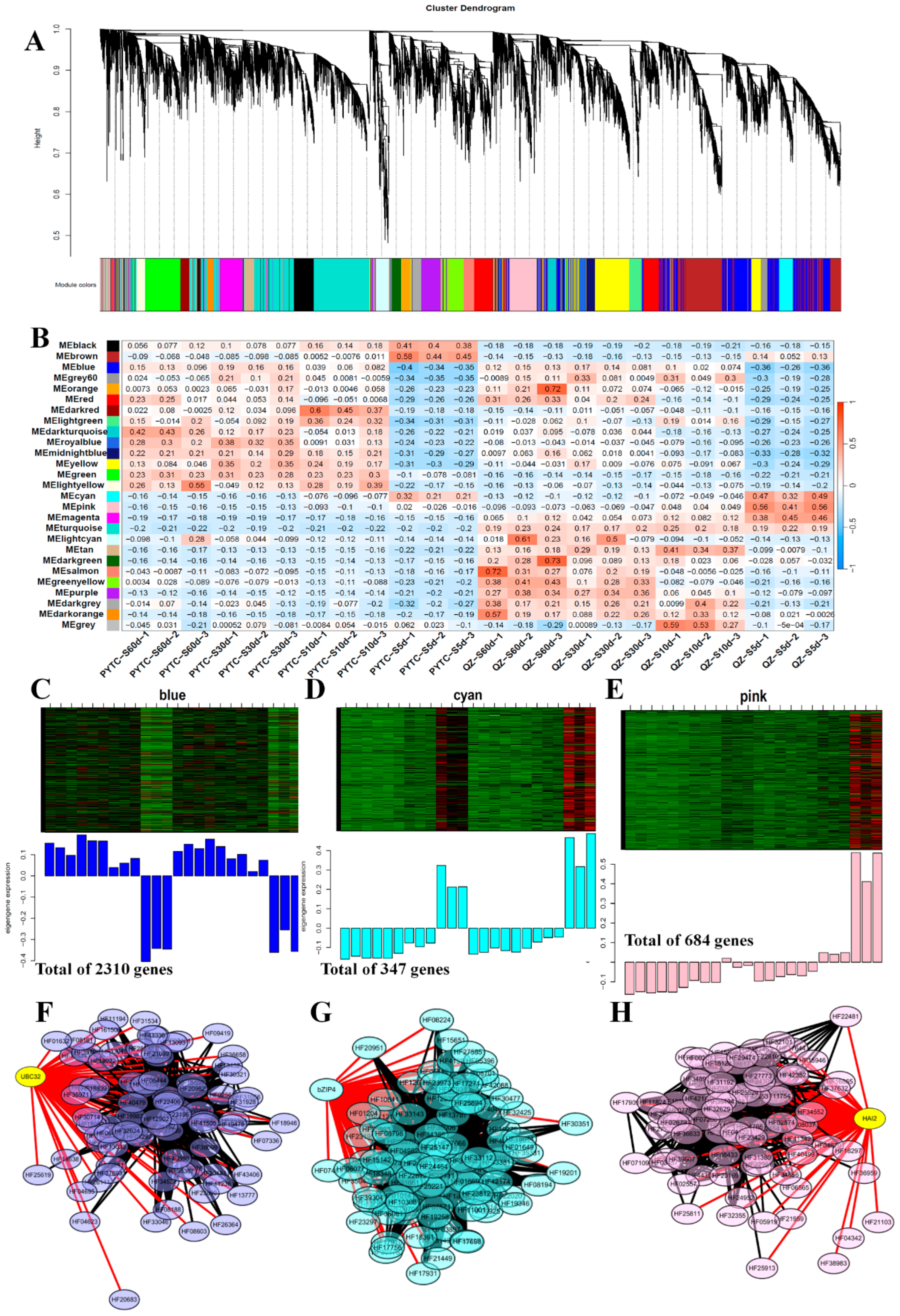 Agronomy 15 00748 g008