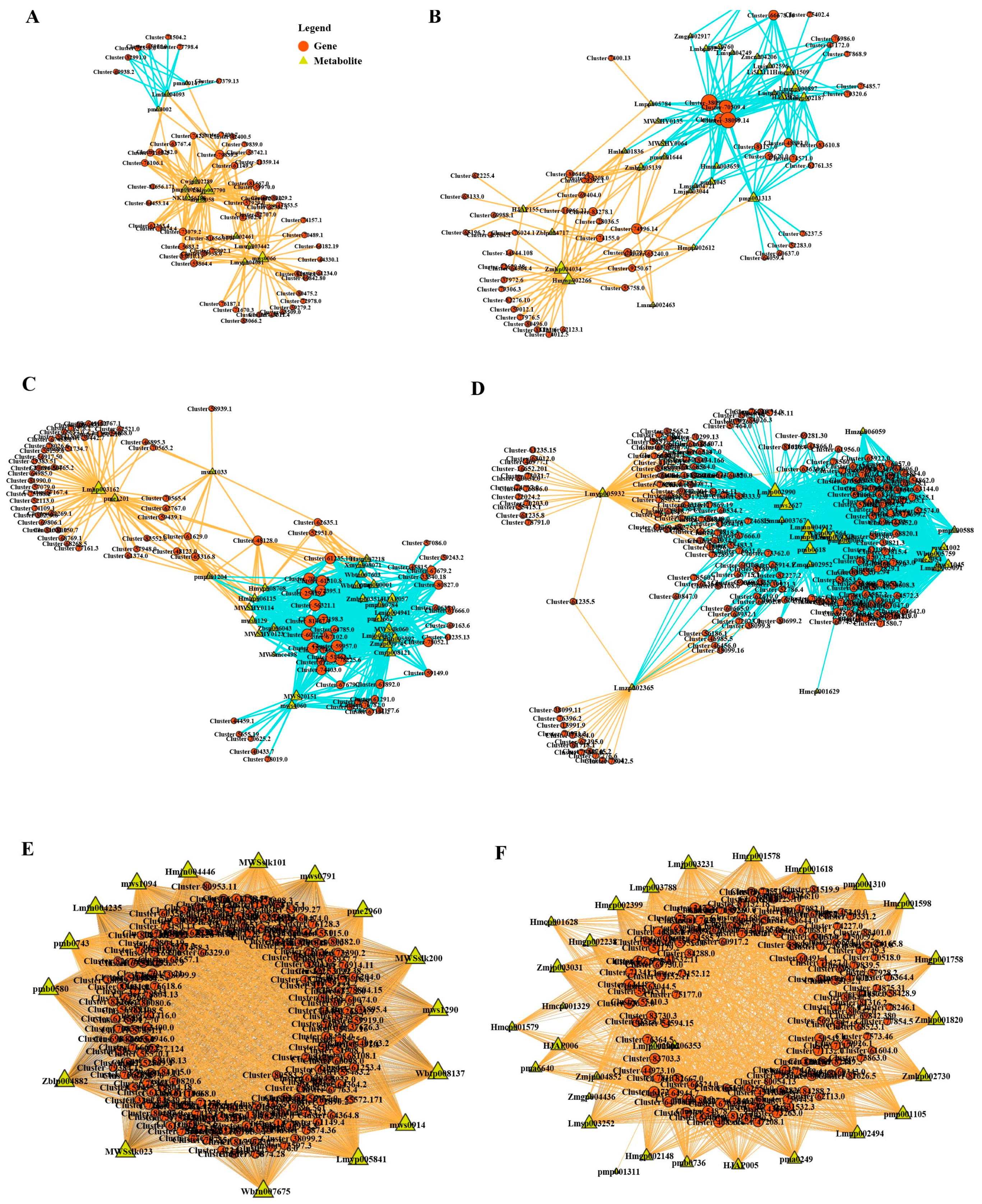 Agronomy 15 00755 g005
